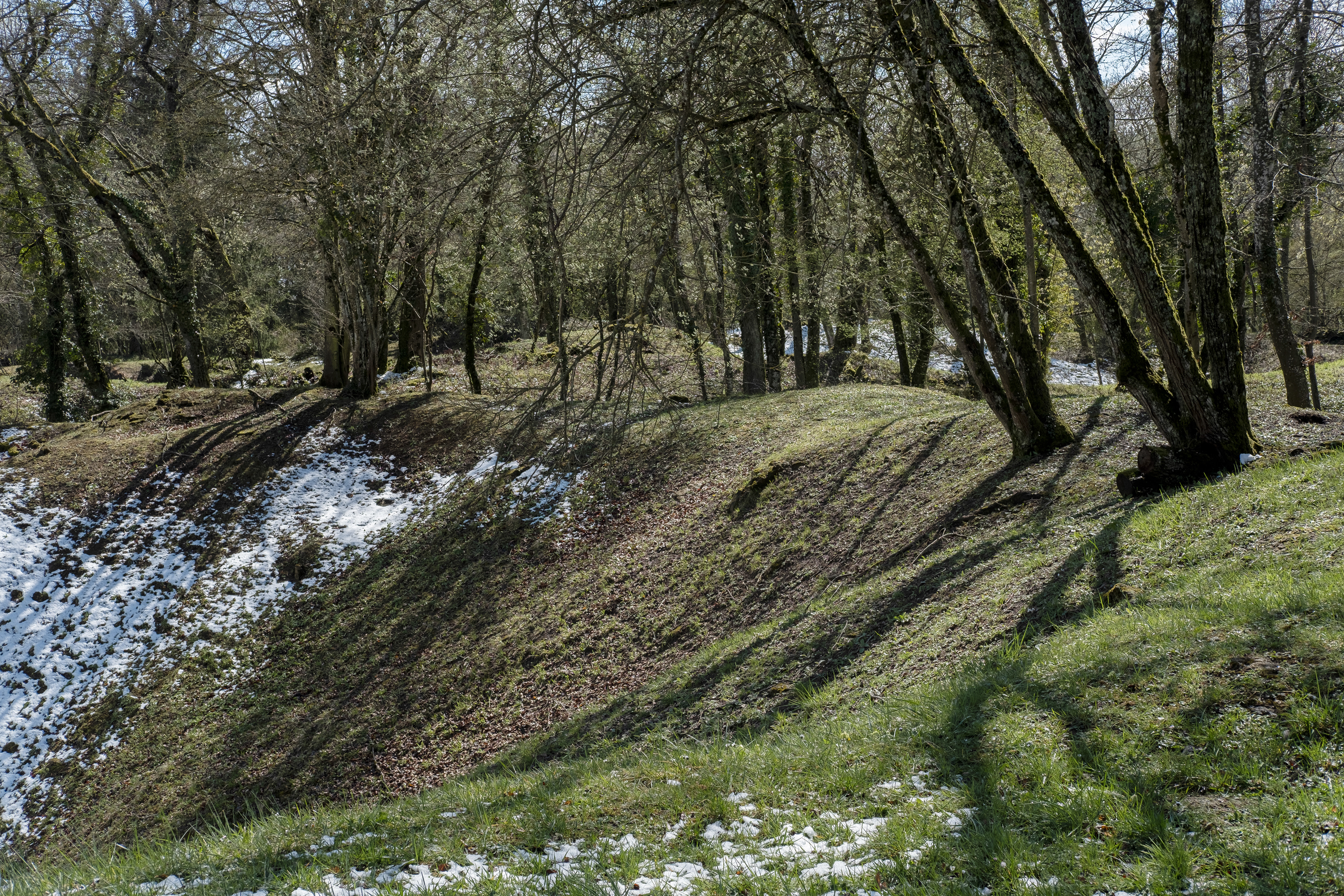 LES ÉPARGES