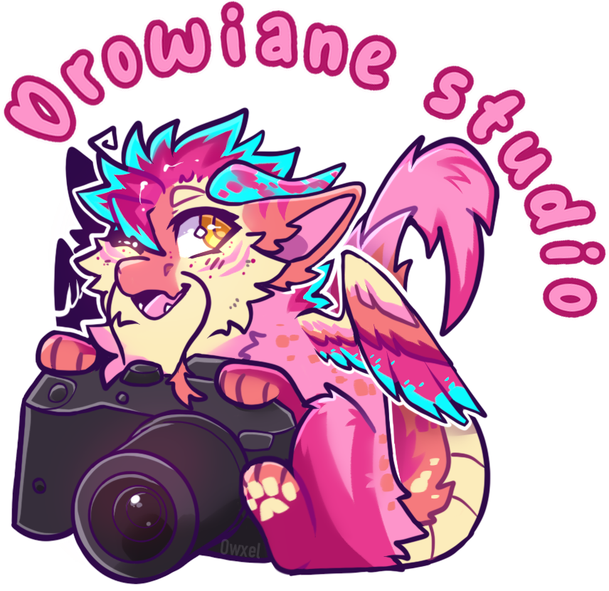 drow_aine studio