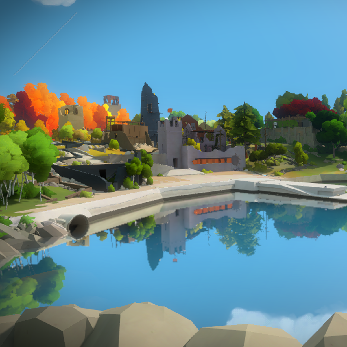 THE WITNESS