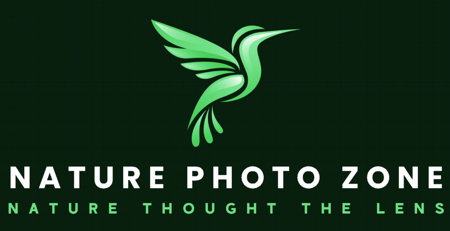Nature Photo Zone