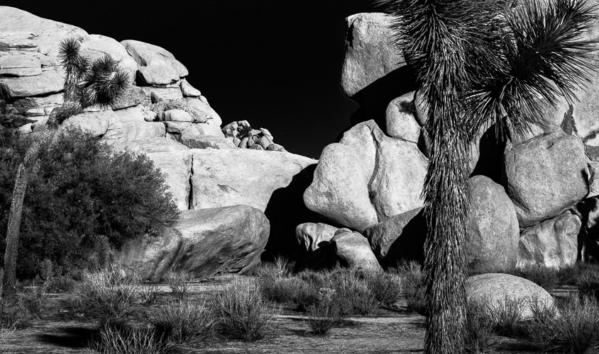 Mt. Nixon/Tricky Dick Hill  Joshua Tree National Park