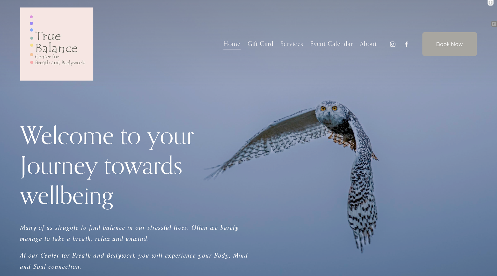home page - top fold