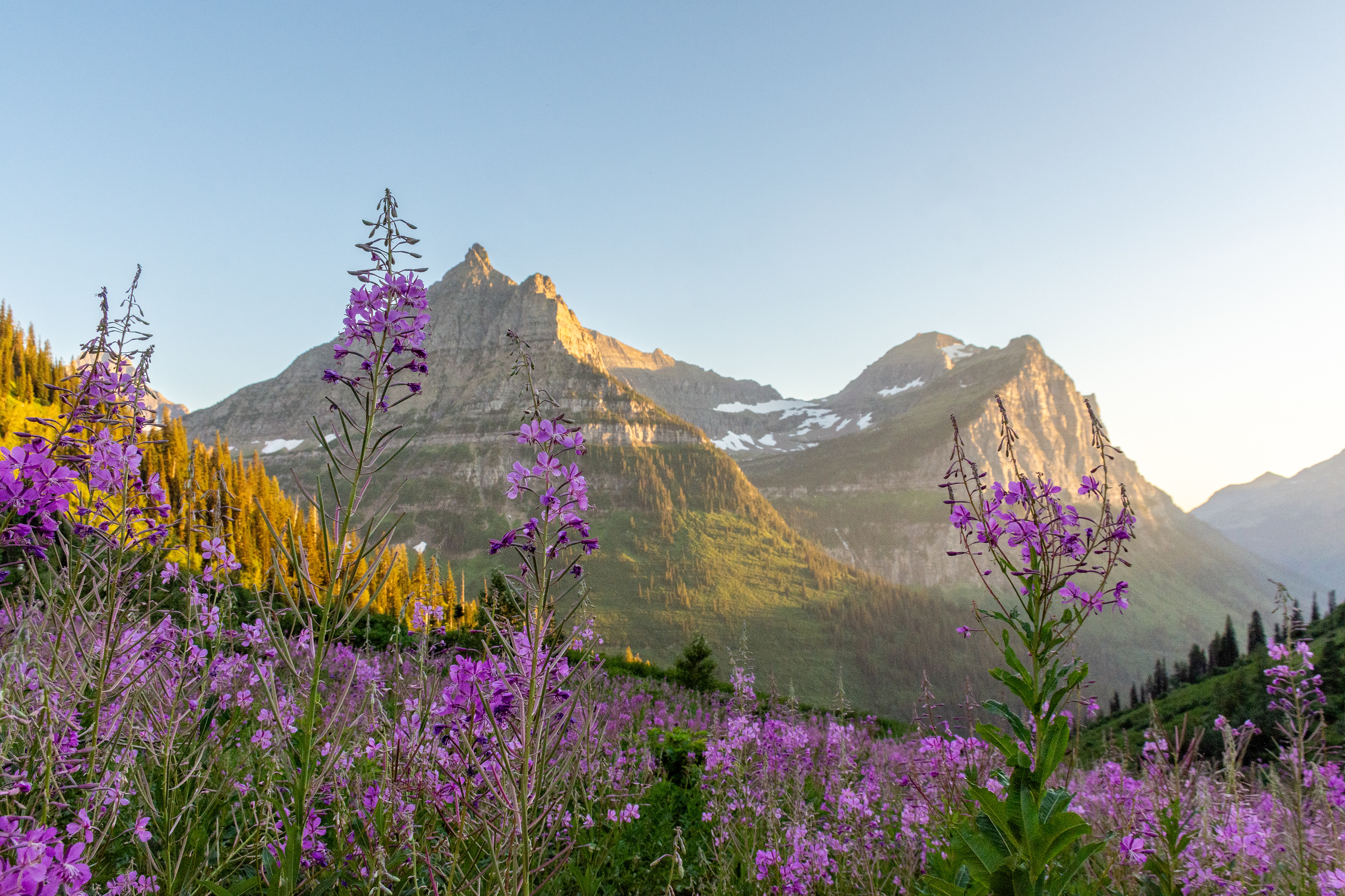 Glacier National Park, Montana