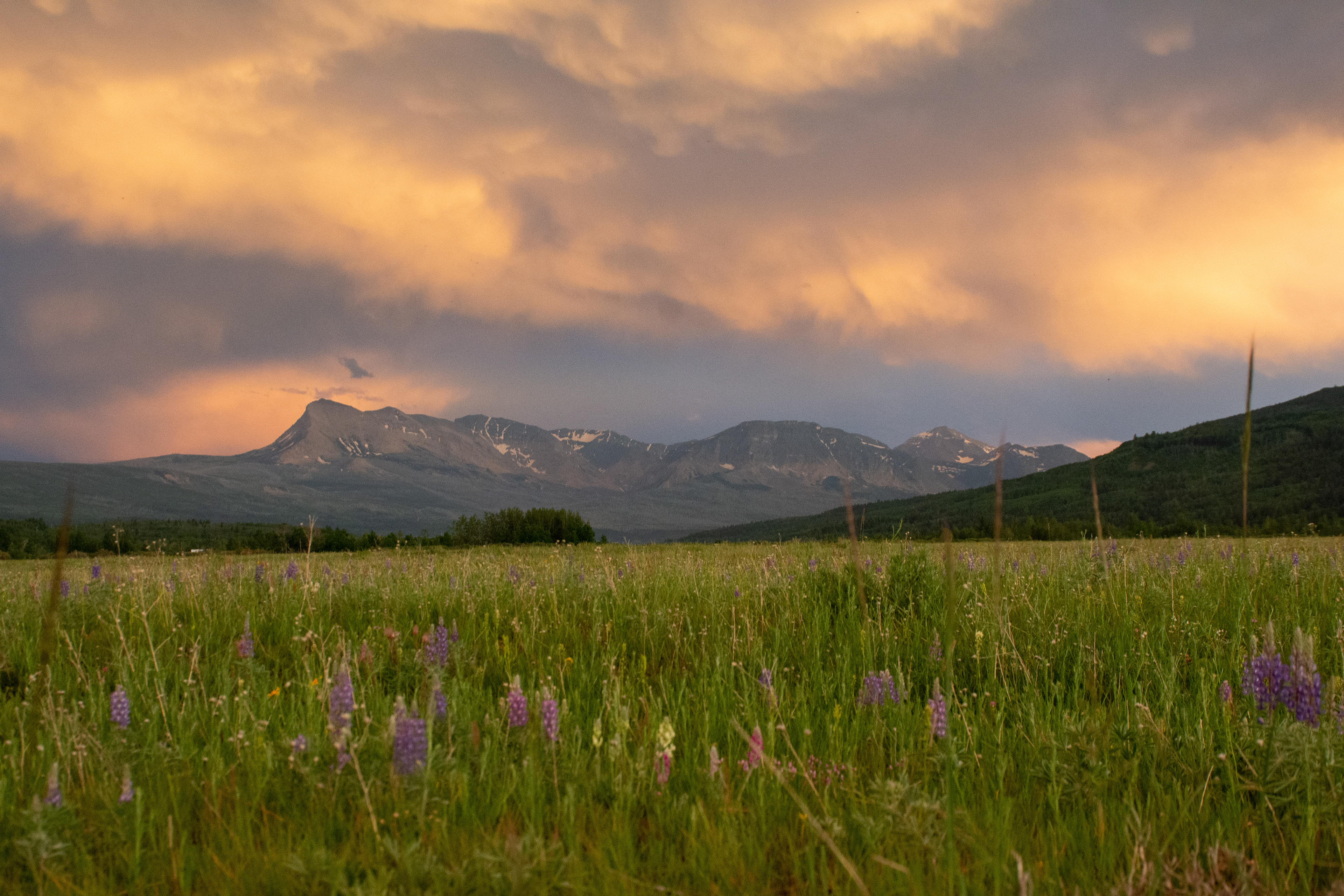 Glacier National Park, Montana