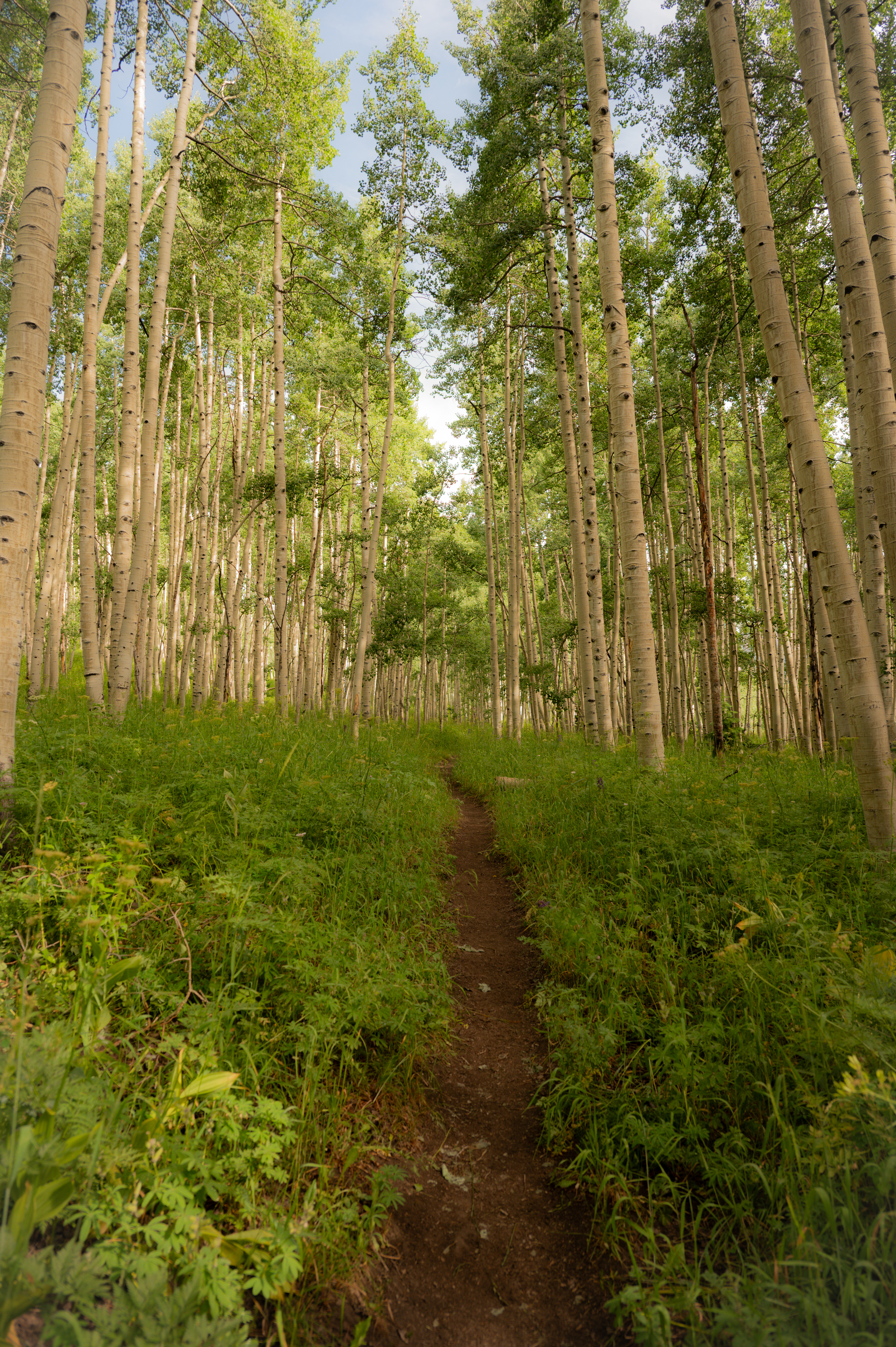 Colorado