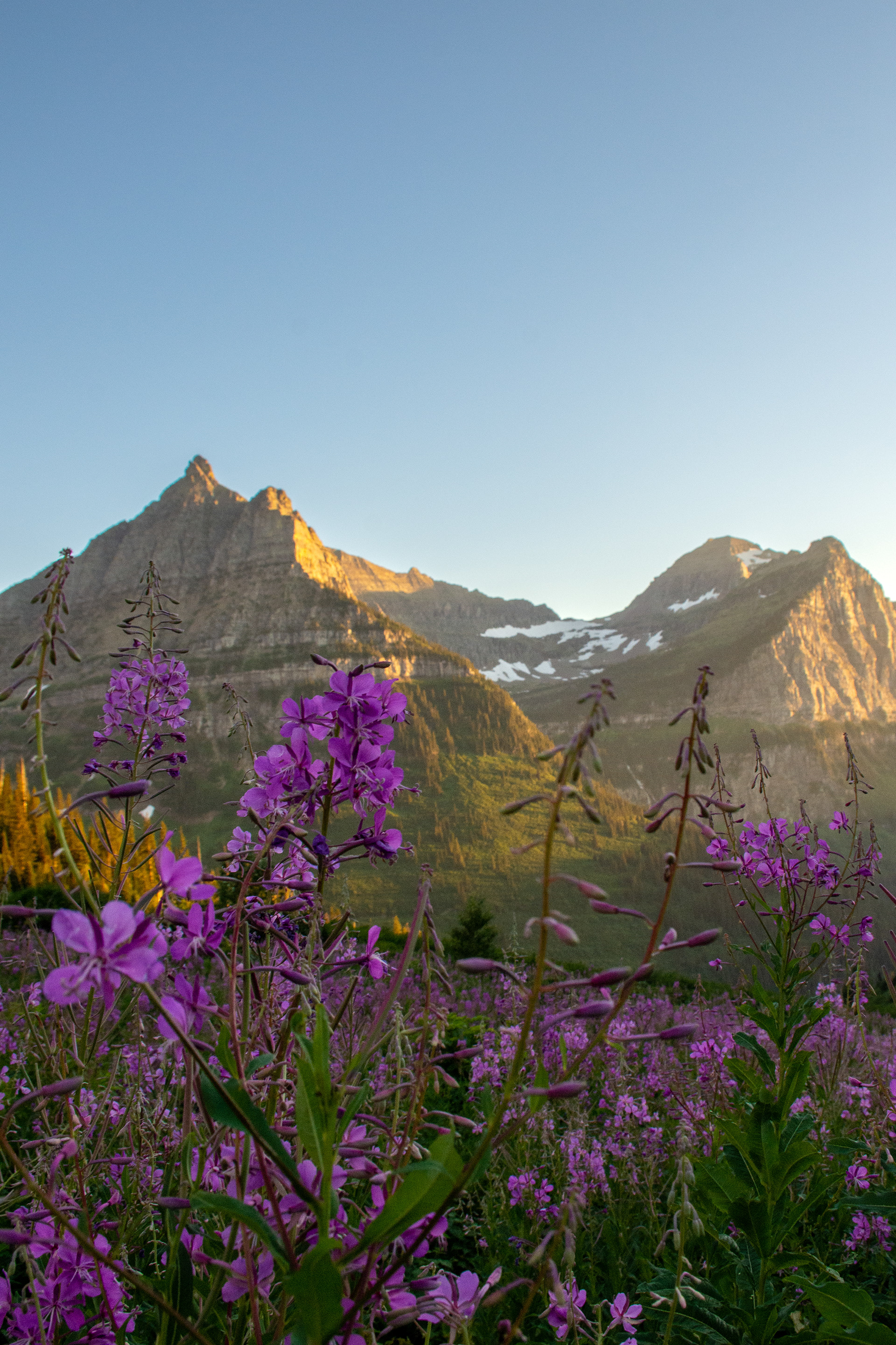 Glacier National Park, Montana