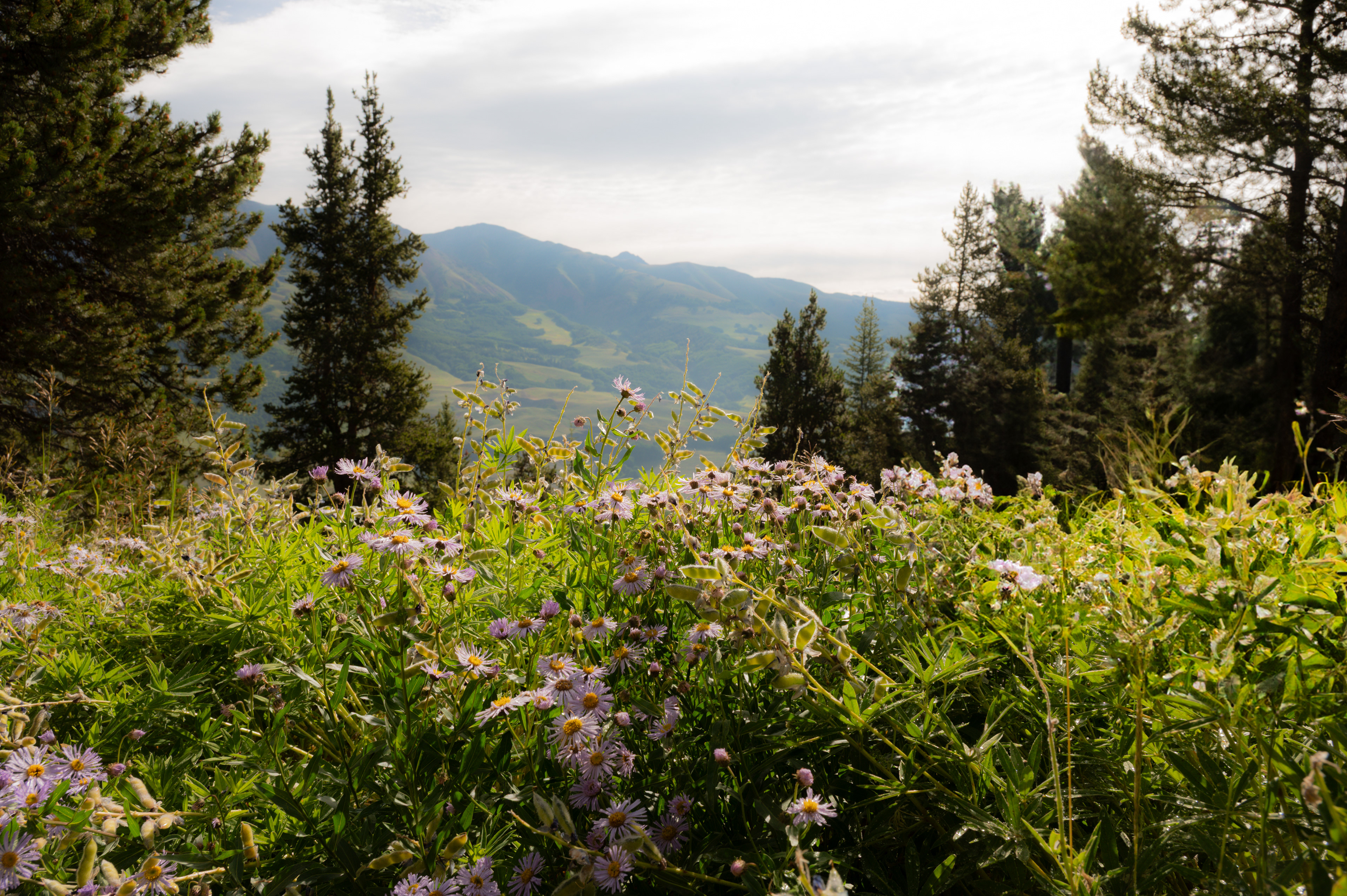 Colorado