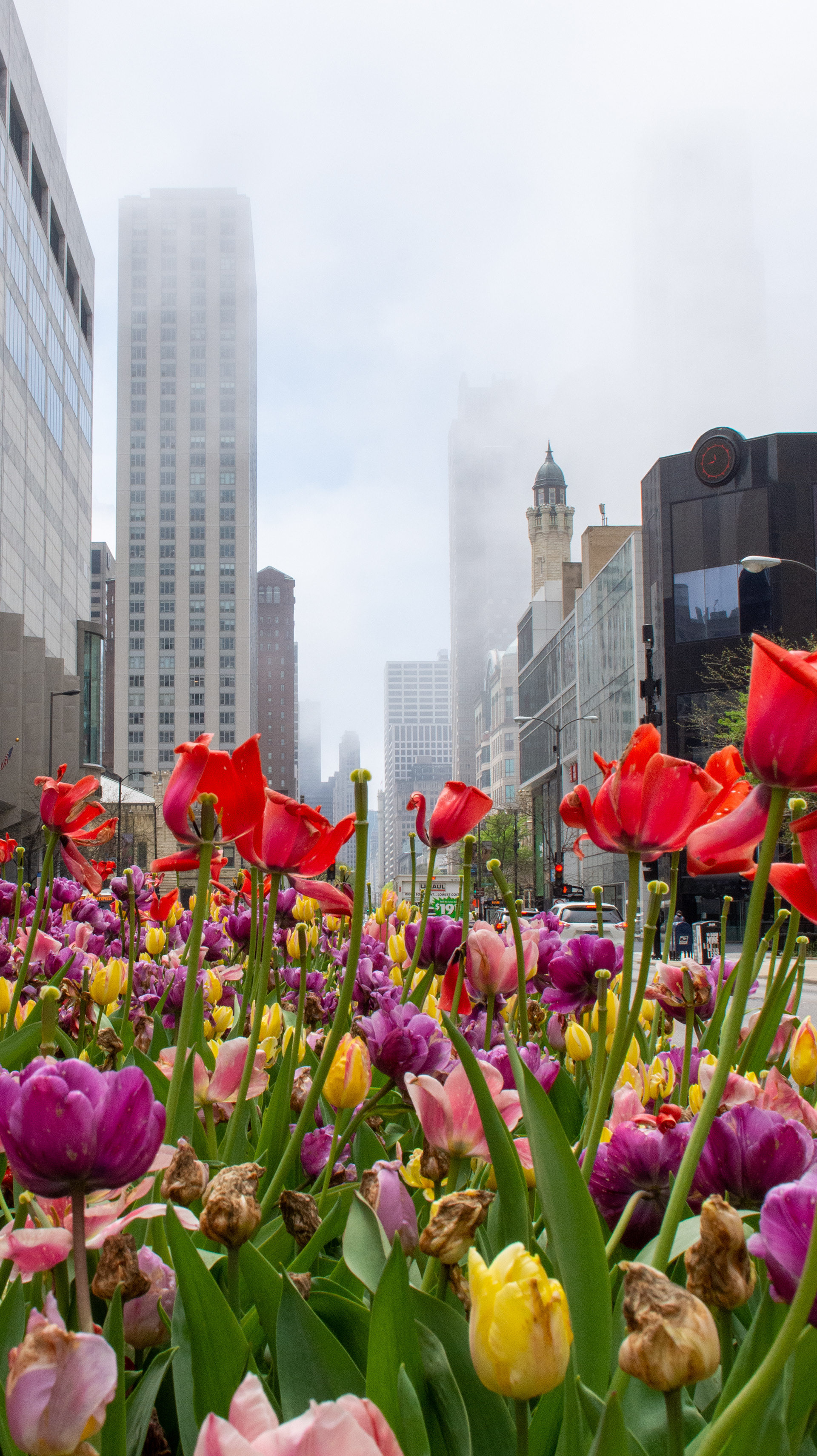 Chicago, Illinois