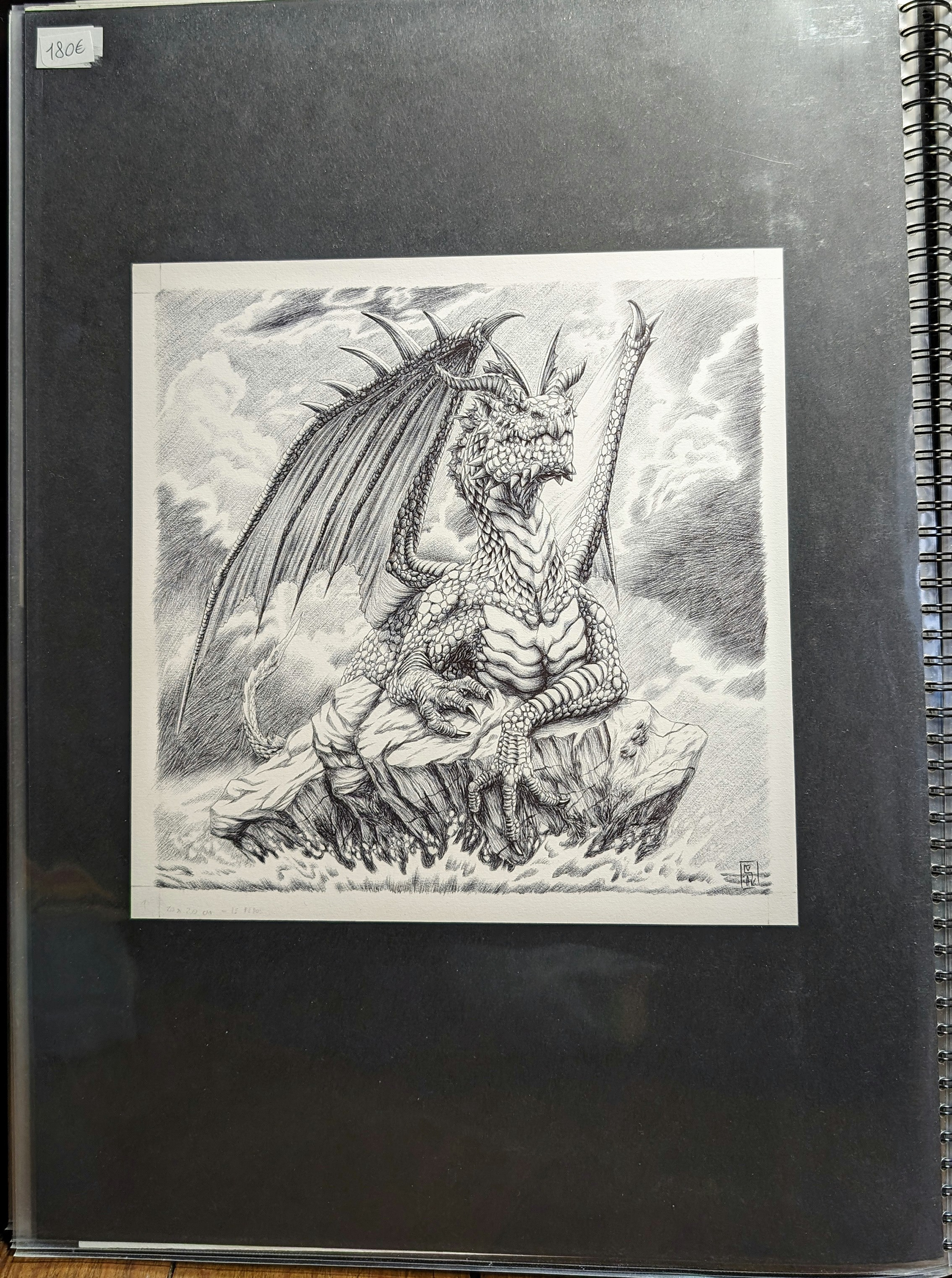 Dragon tranquille - 180€