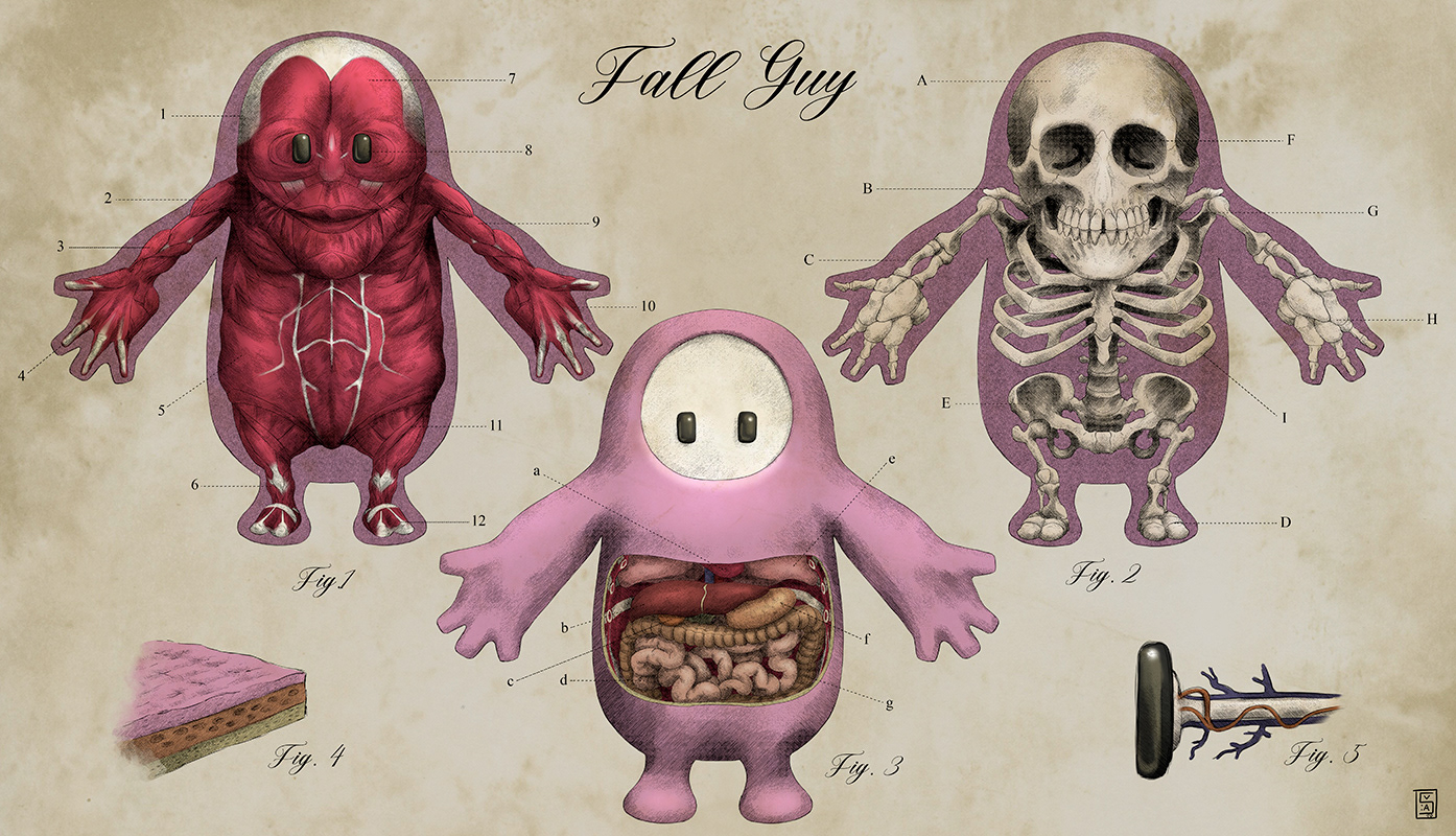 Fall Guy anatomy