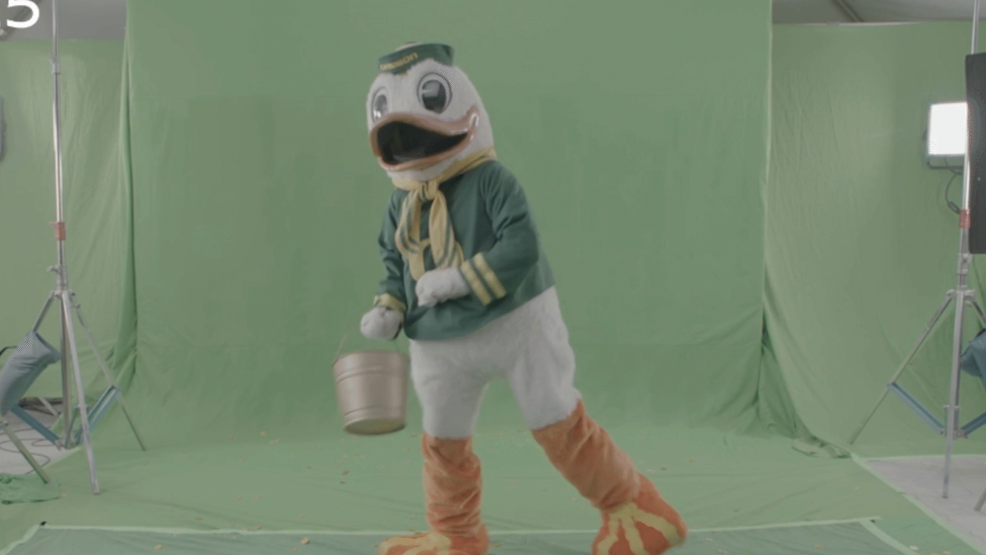 Original green screen footage
