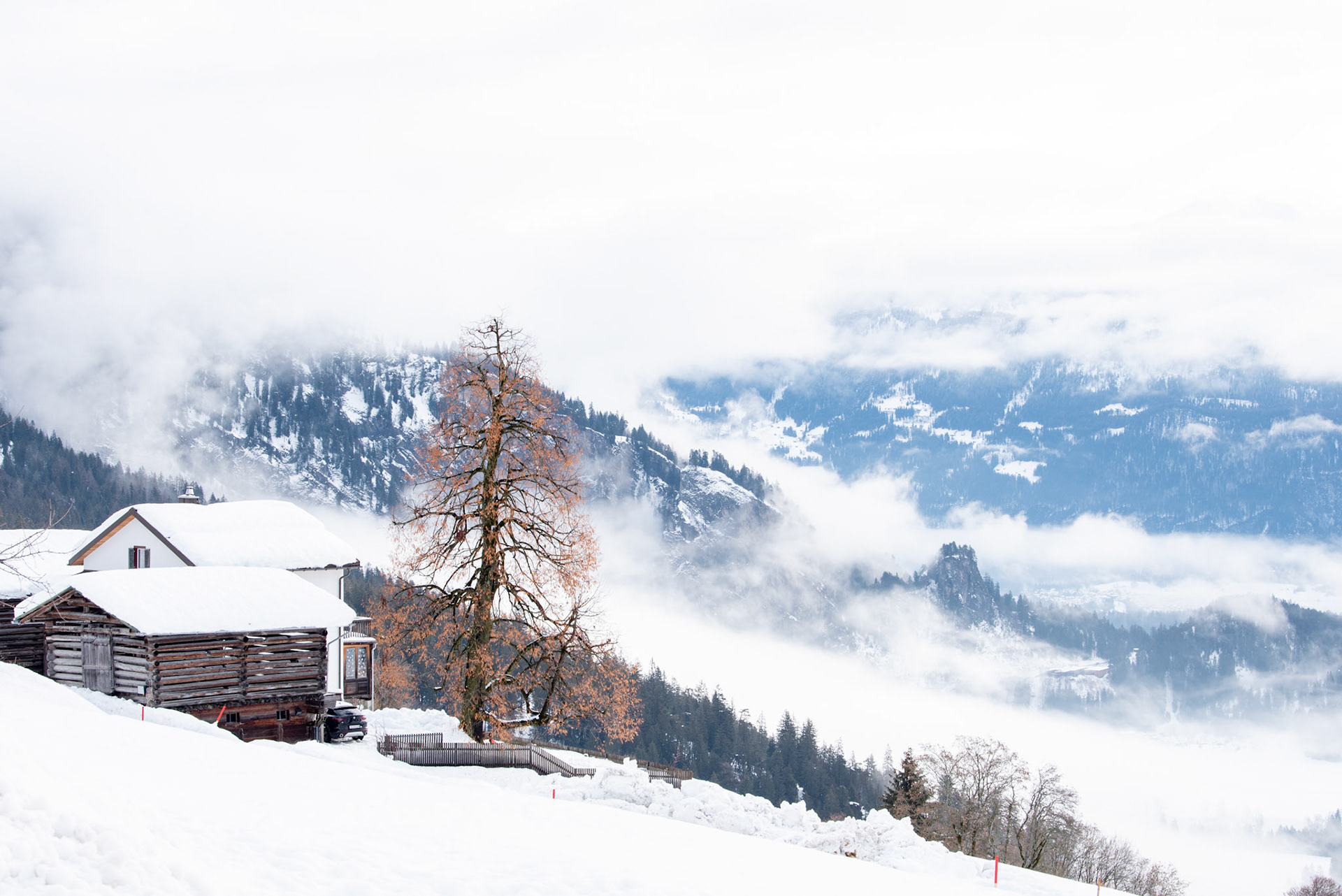 Flims