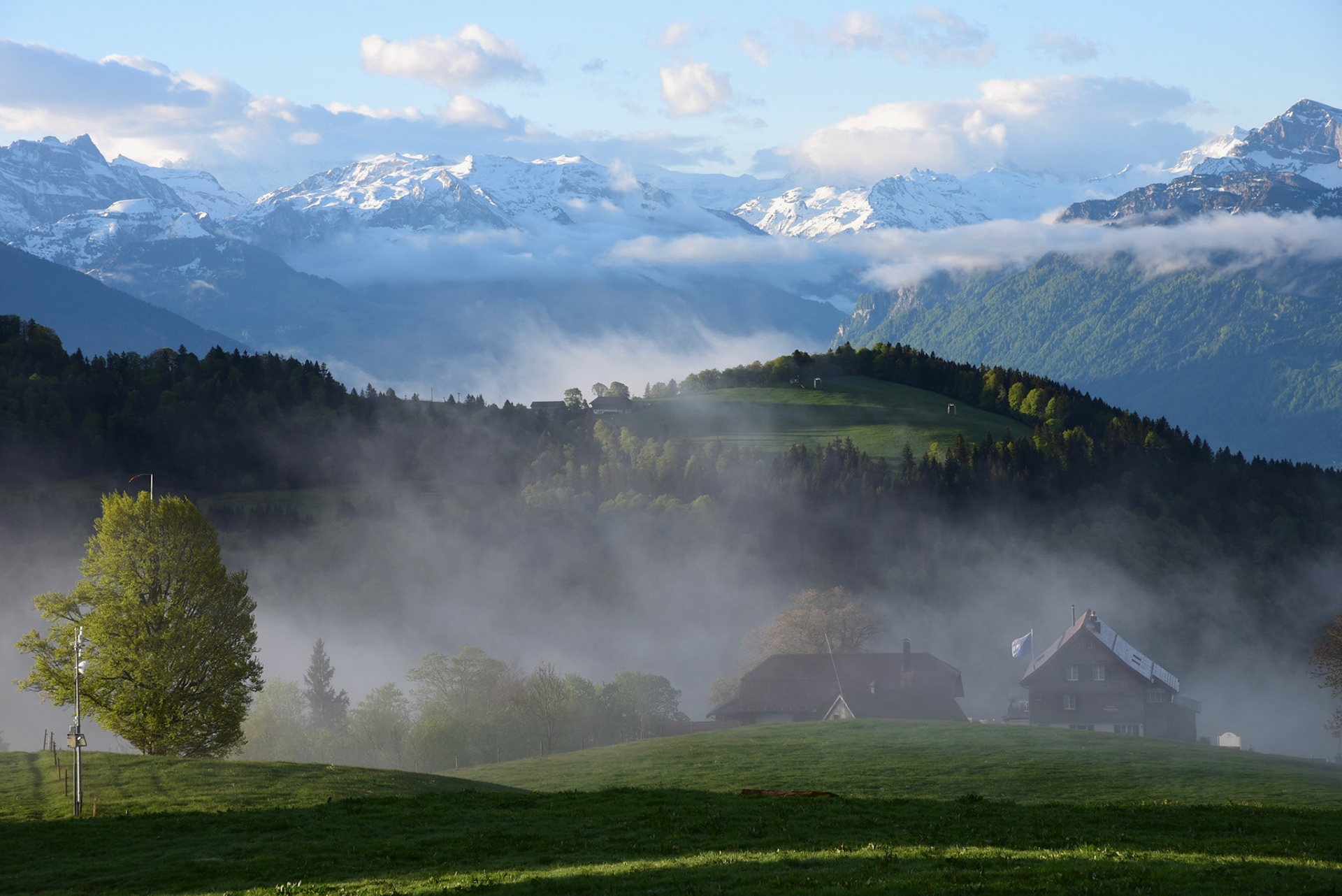 Alp Scheidegg