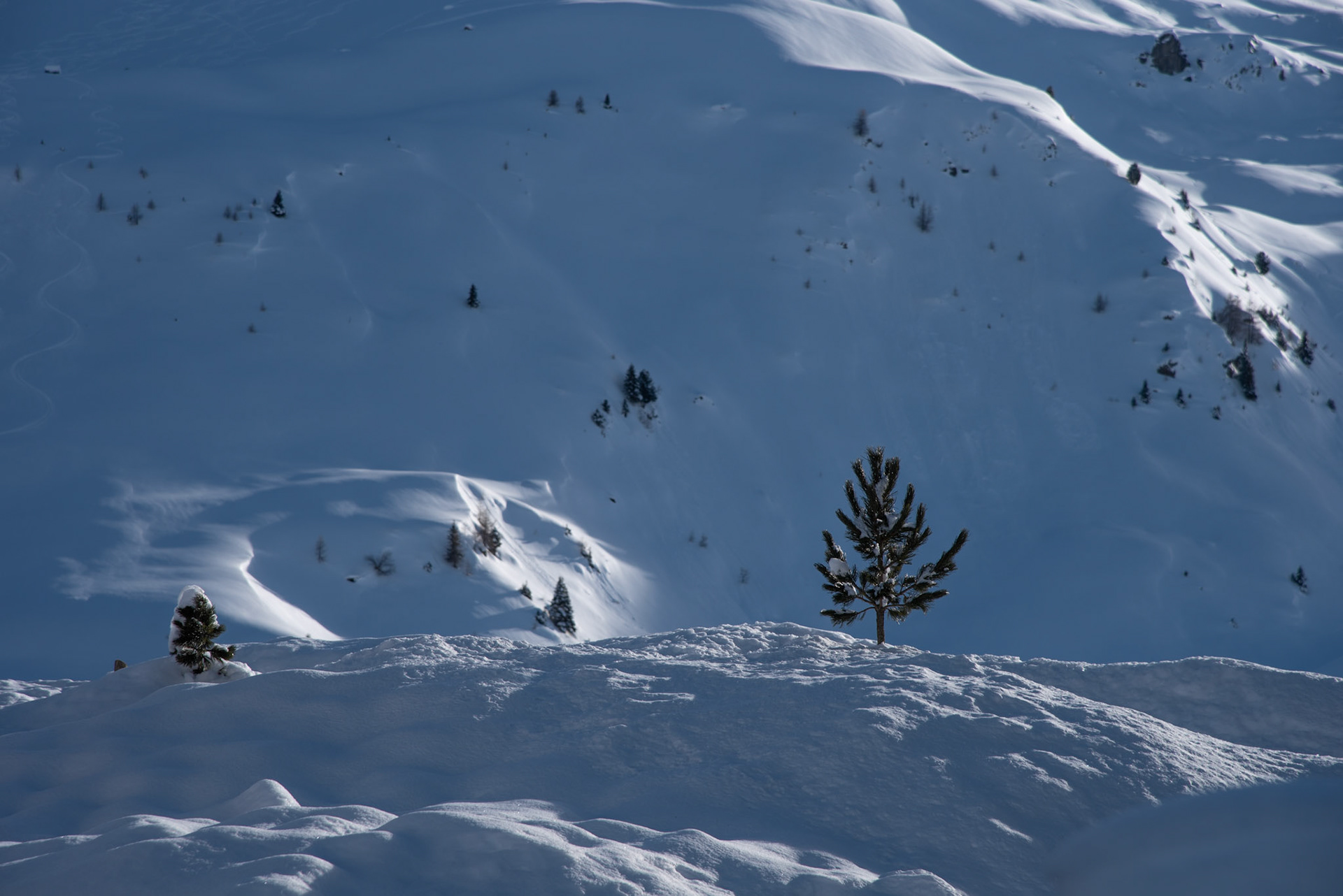 Arosa