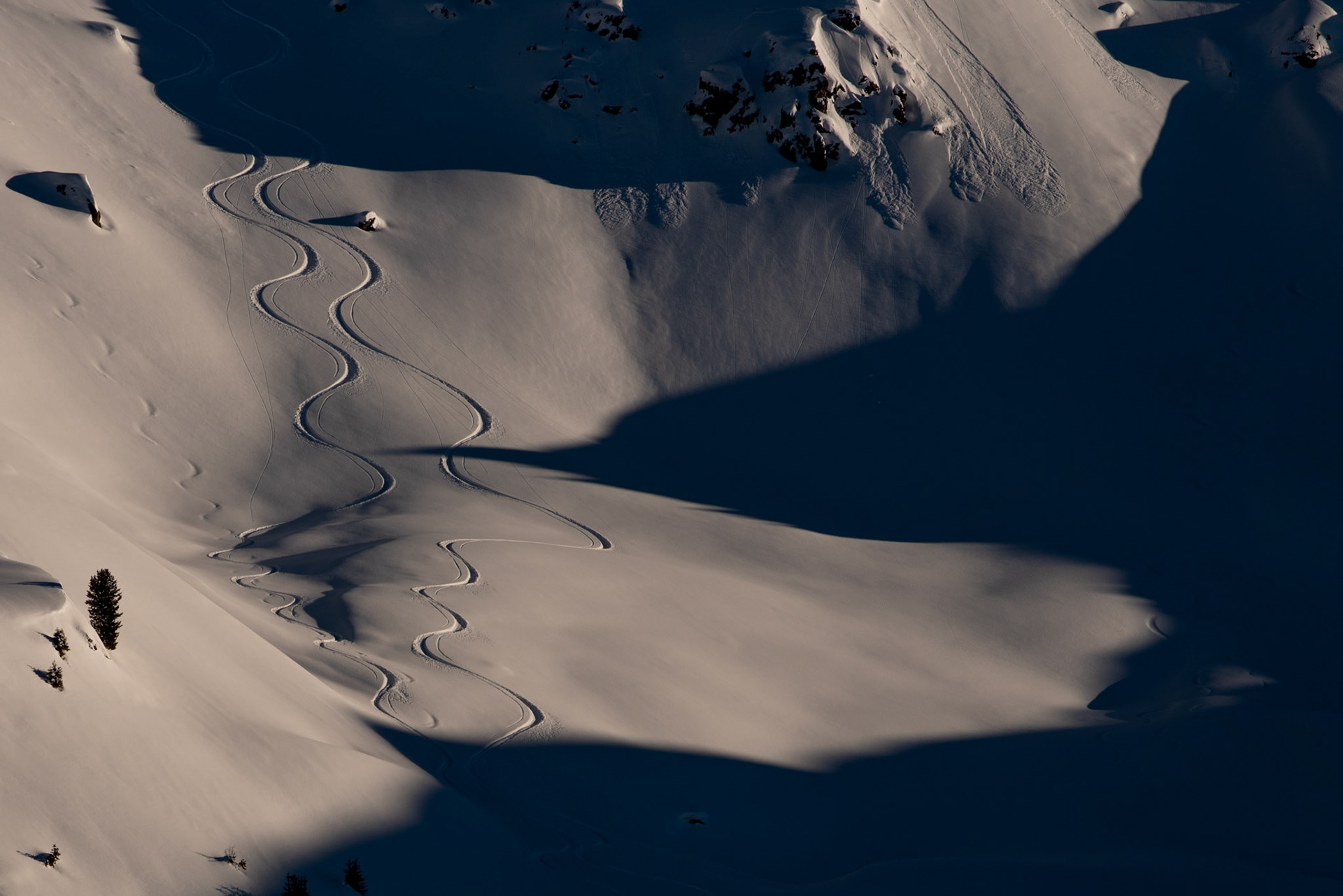Arosa