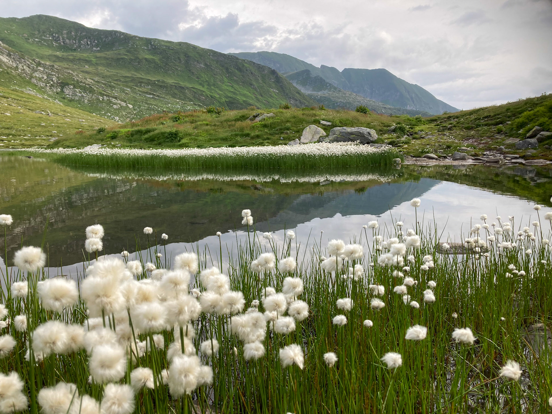 Lago del Corbo