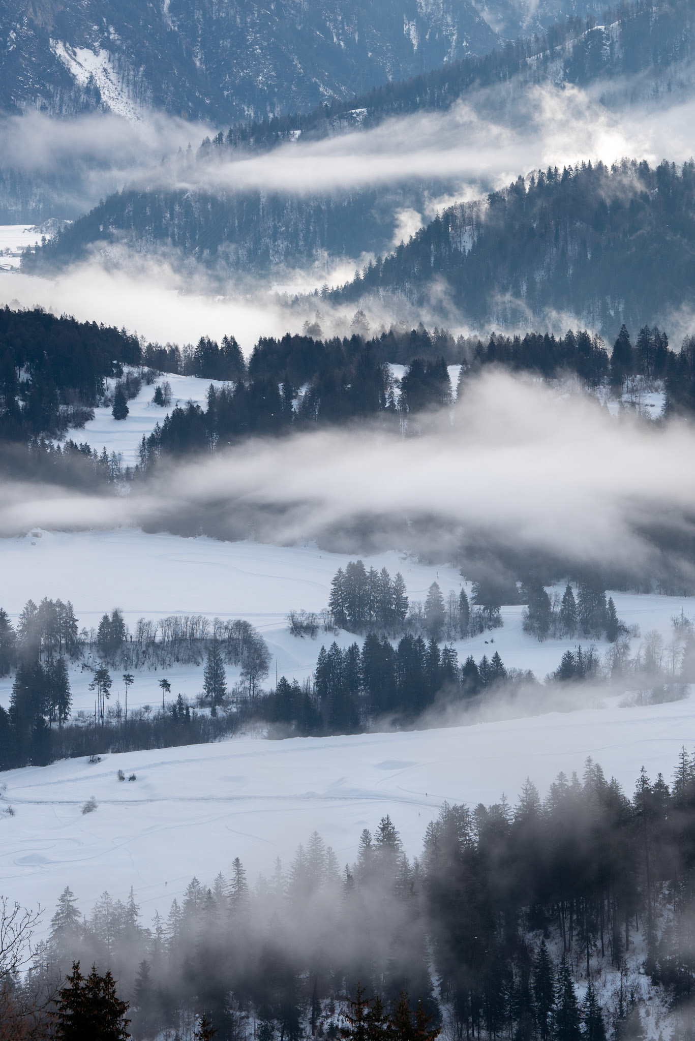 Flims