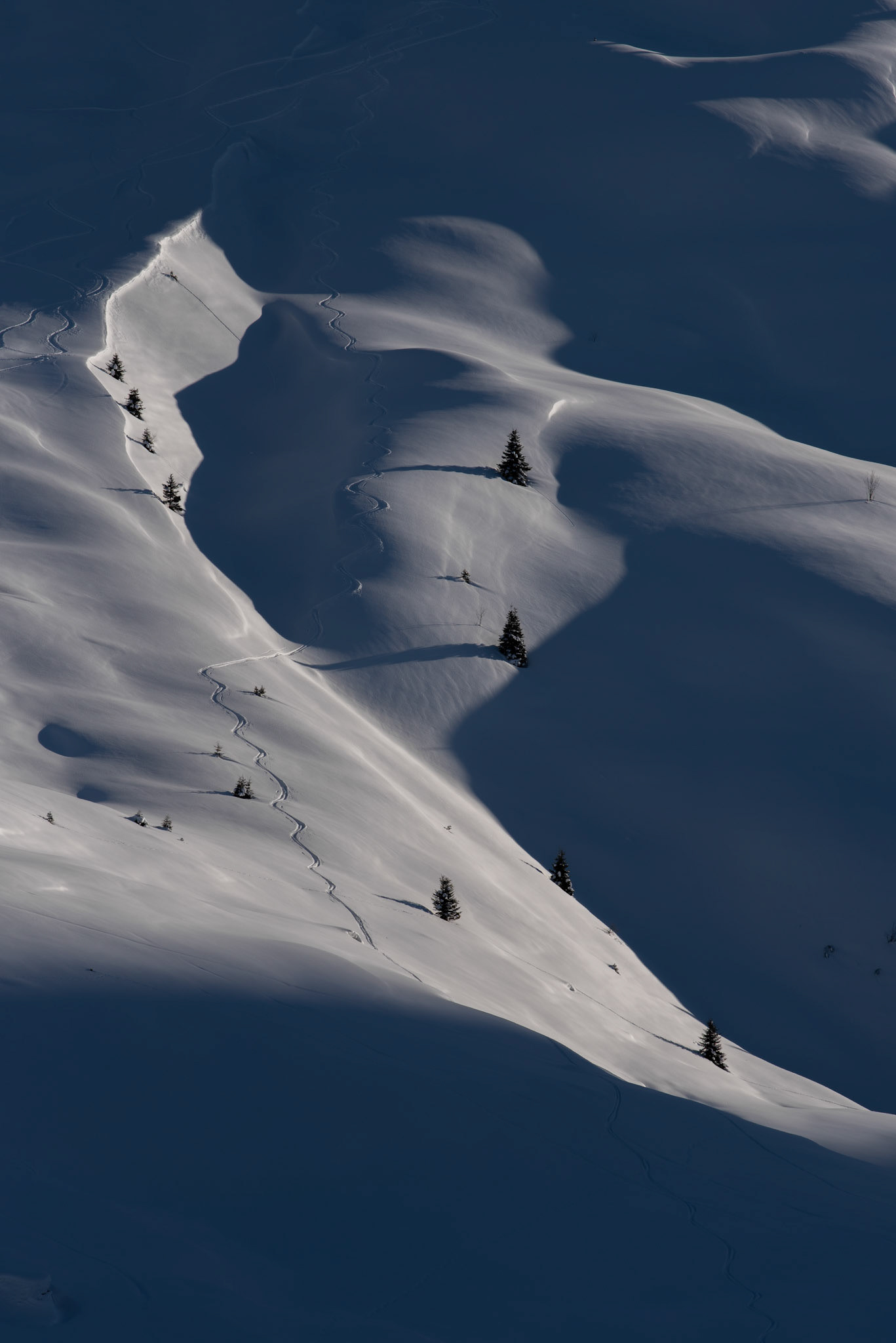 Arosa