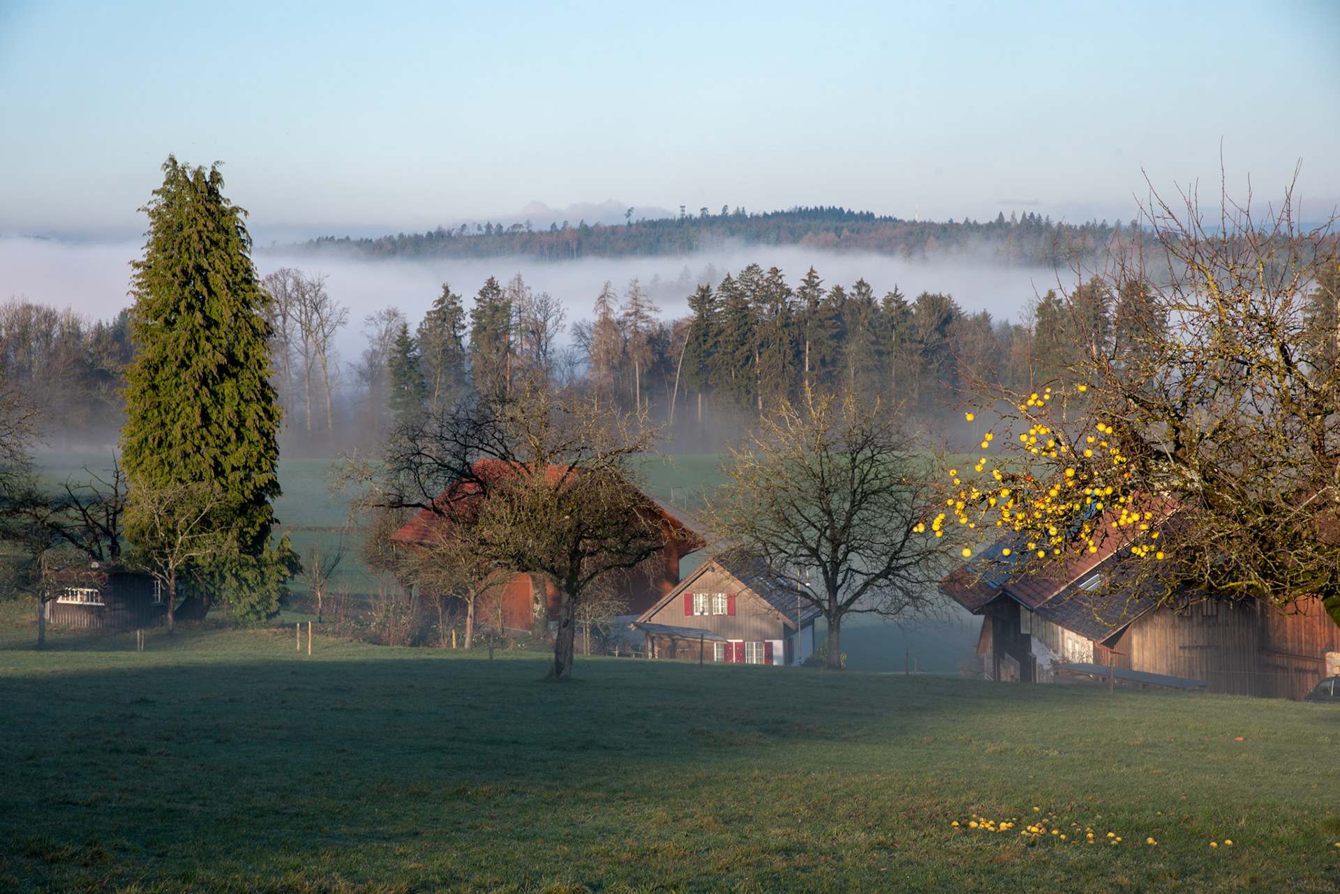 Sässel Iberg