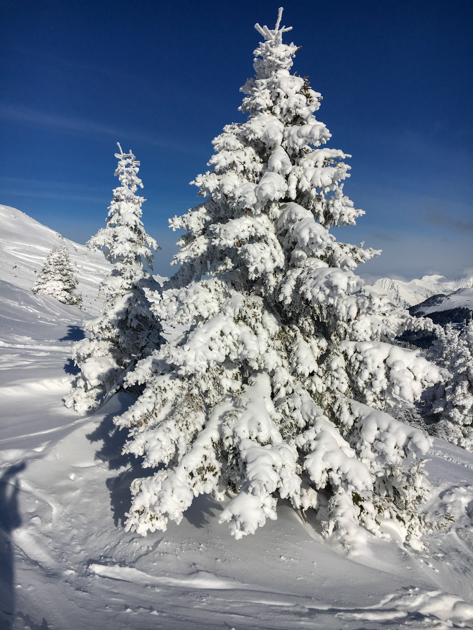 Der Eiskalte