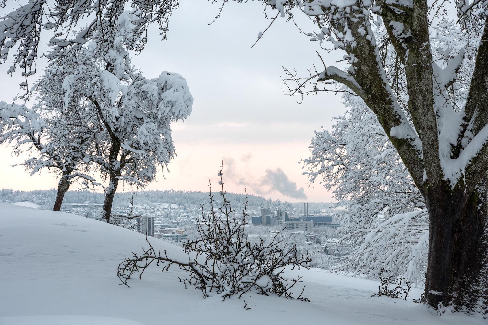 Winterthur