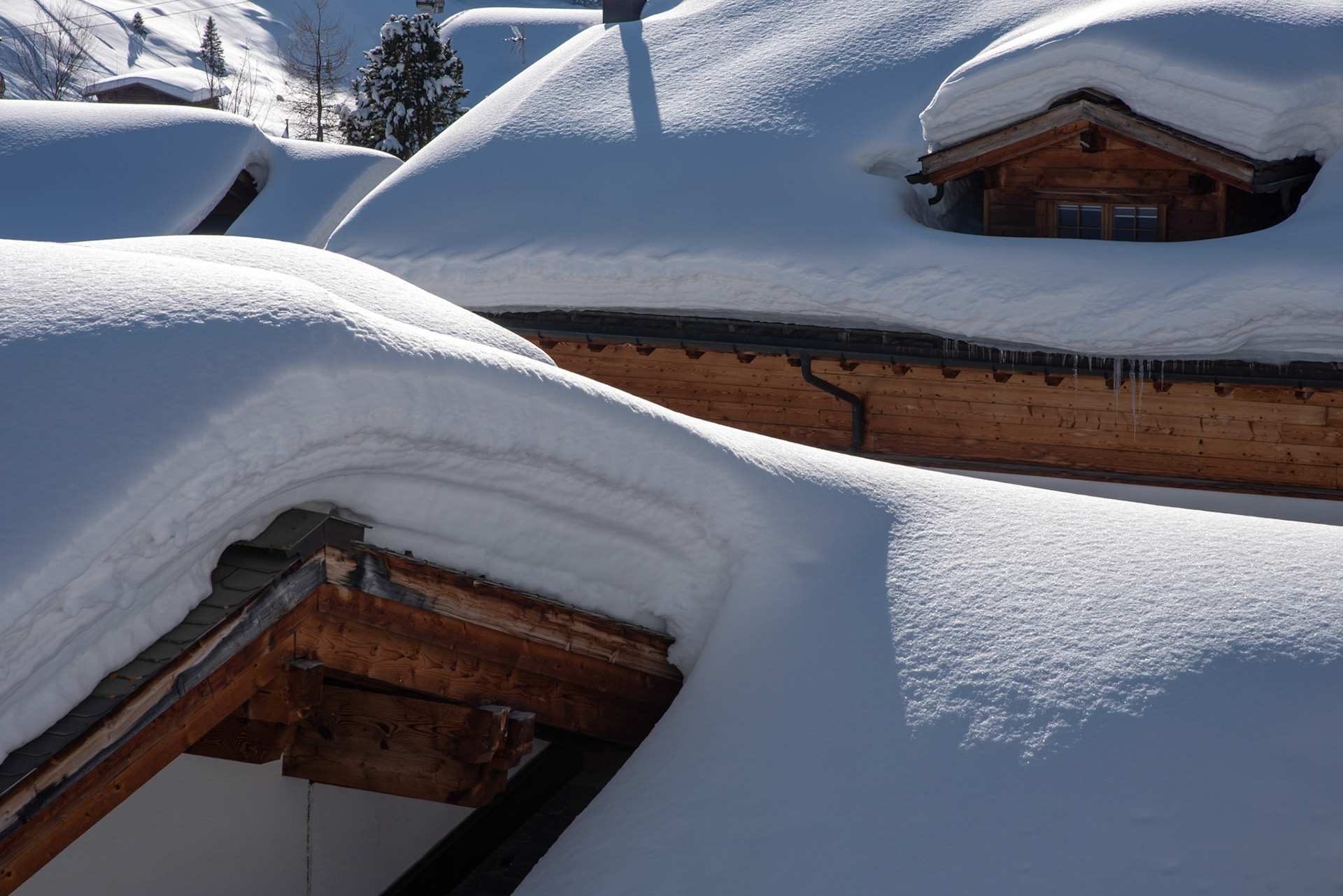 Arosa