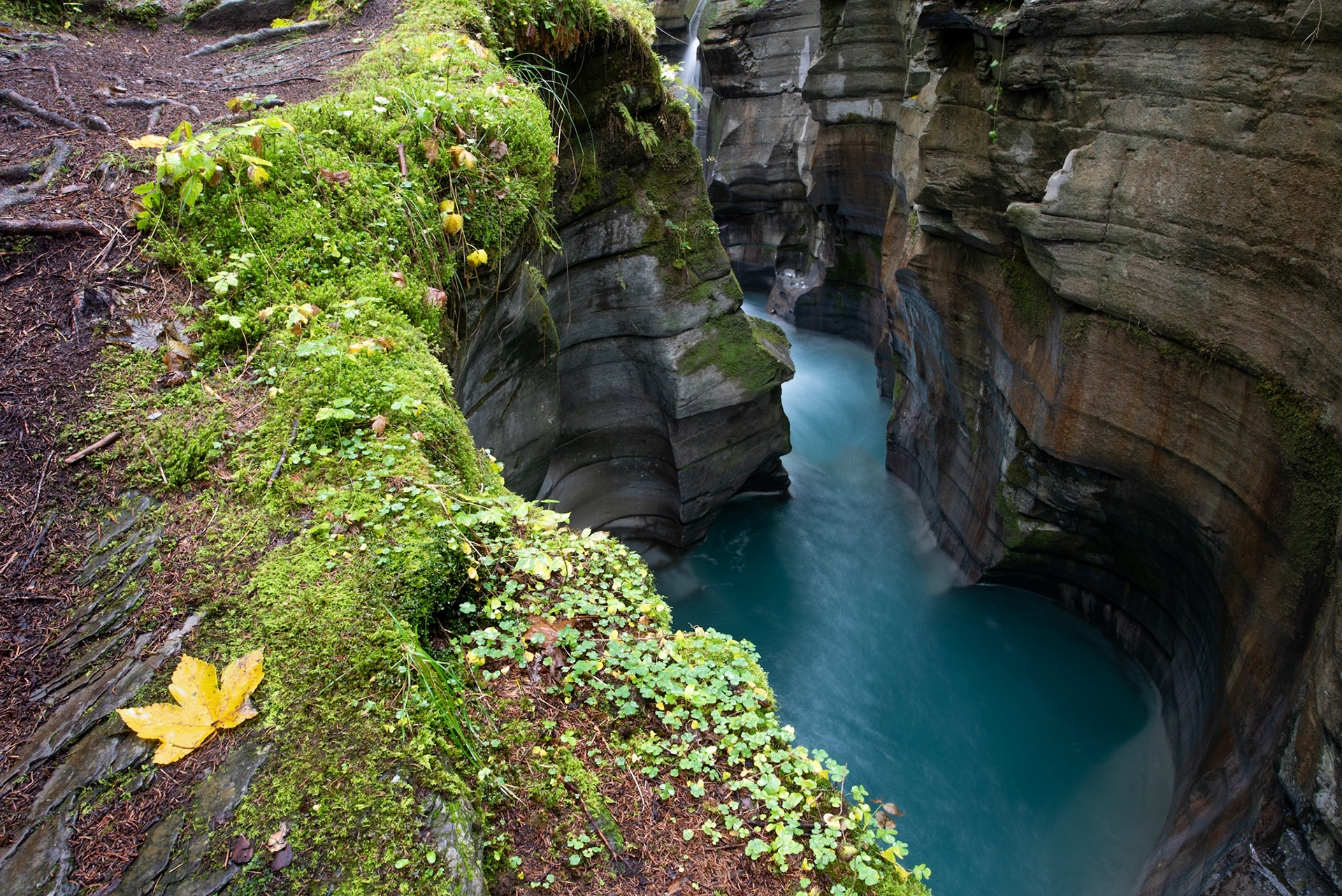 Felsbachschlucht