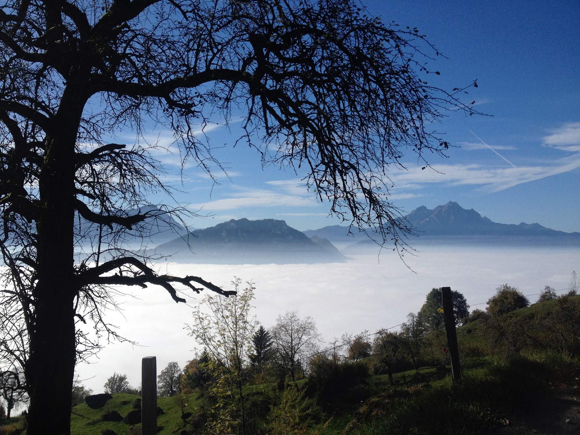 Rigi