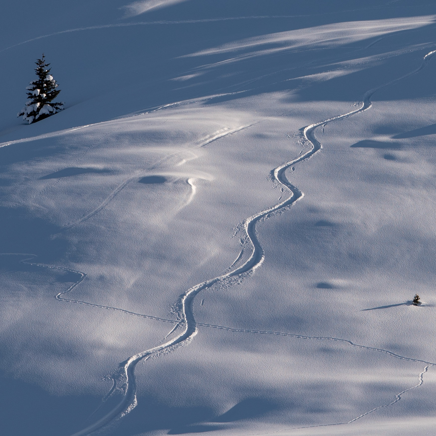 Arosa