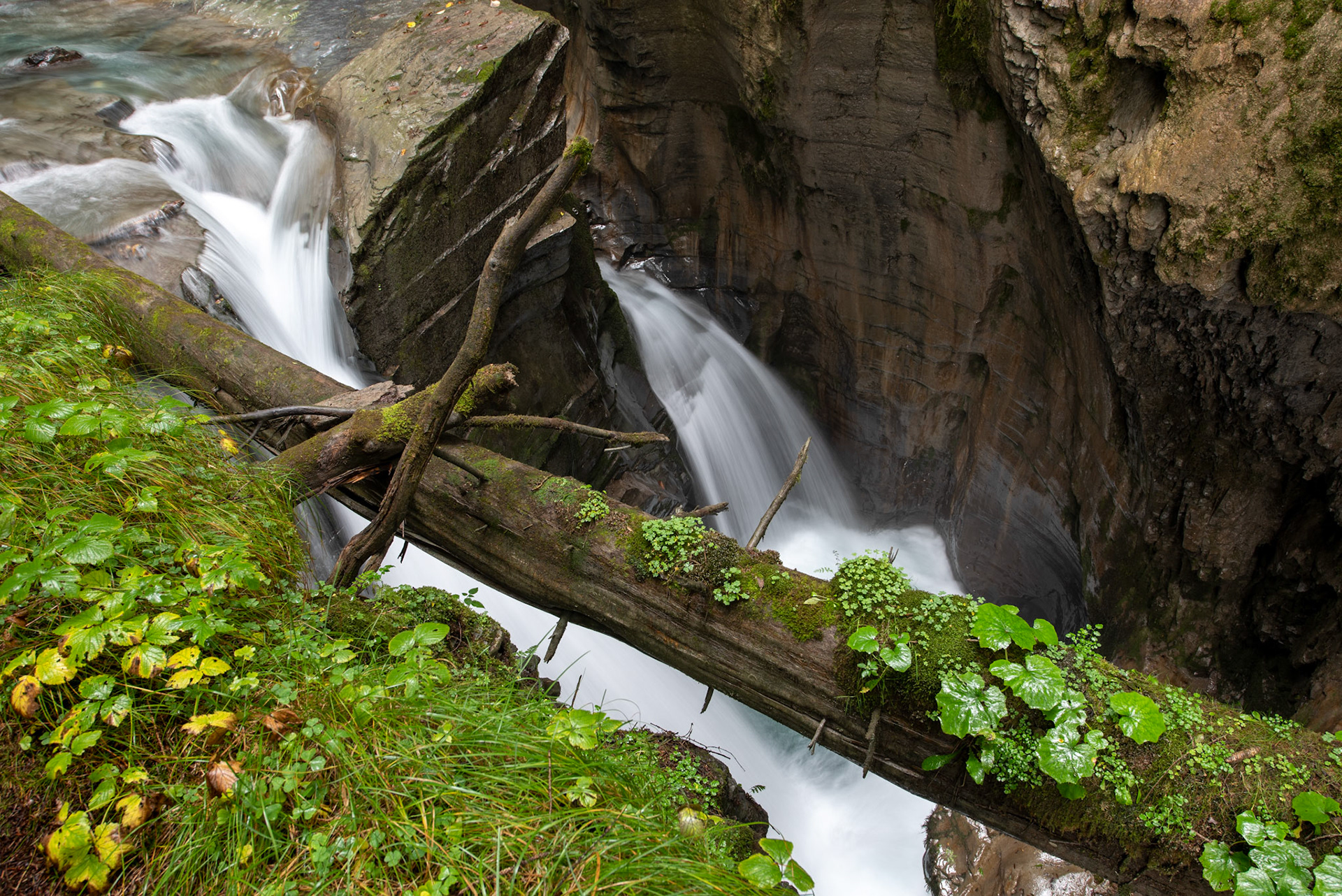 Felsbachschlucht