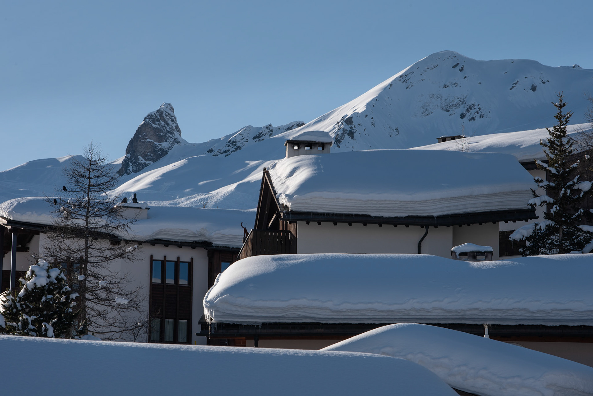 Arosa