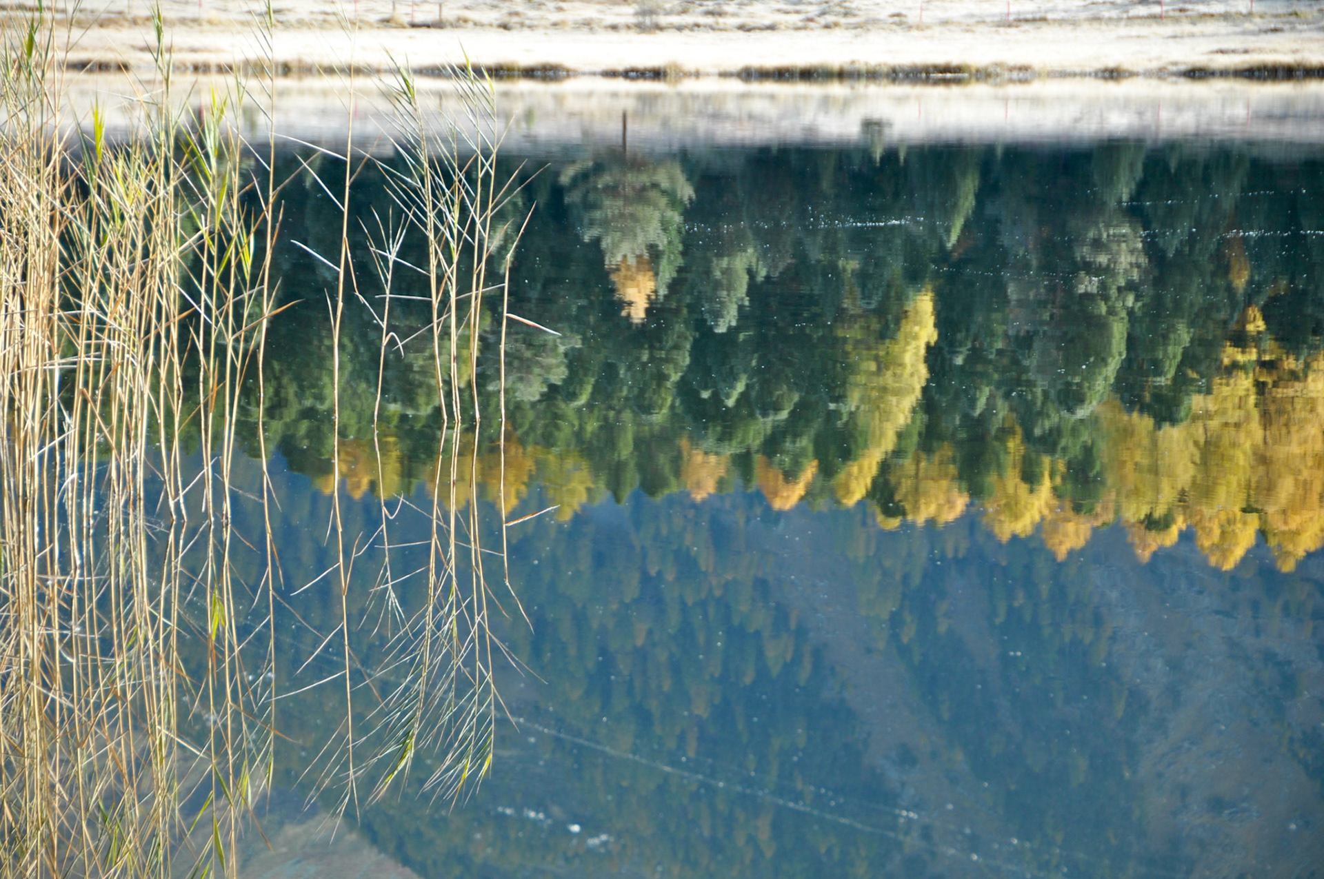 Stazersee