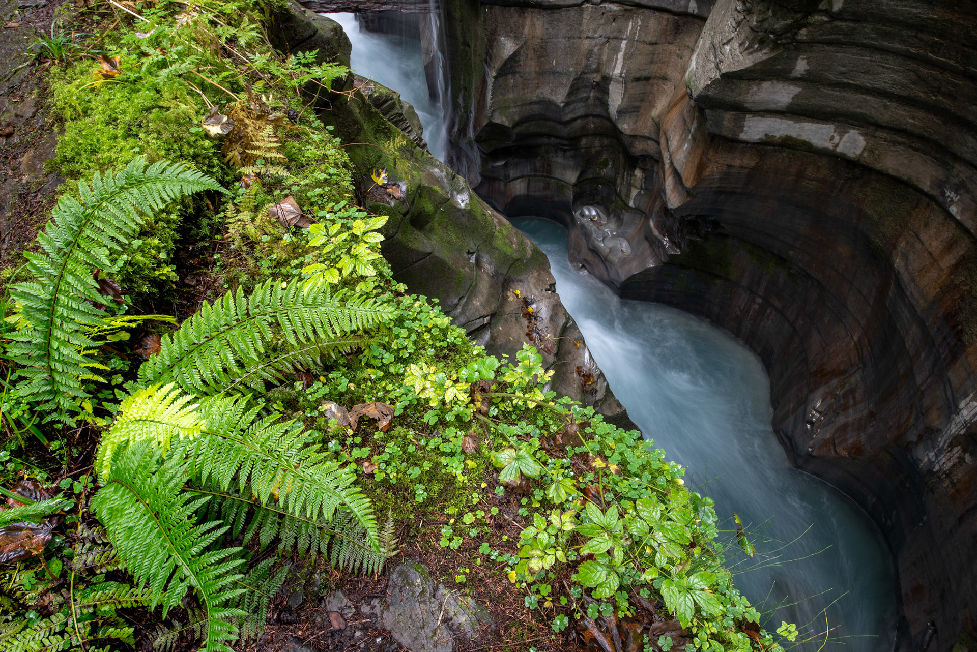 Felsbachschlucht