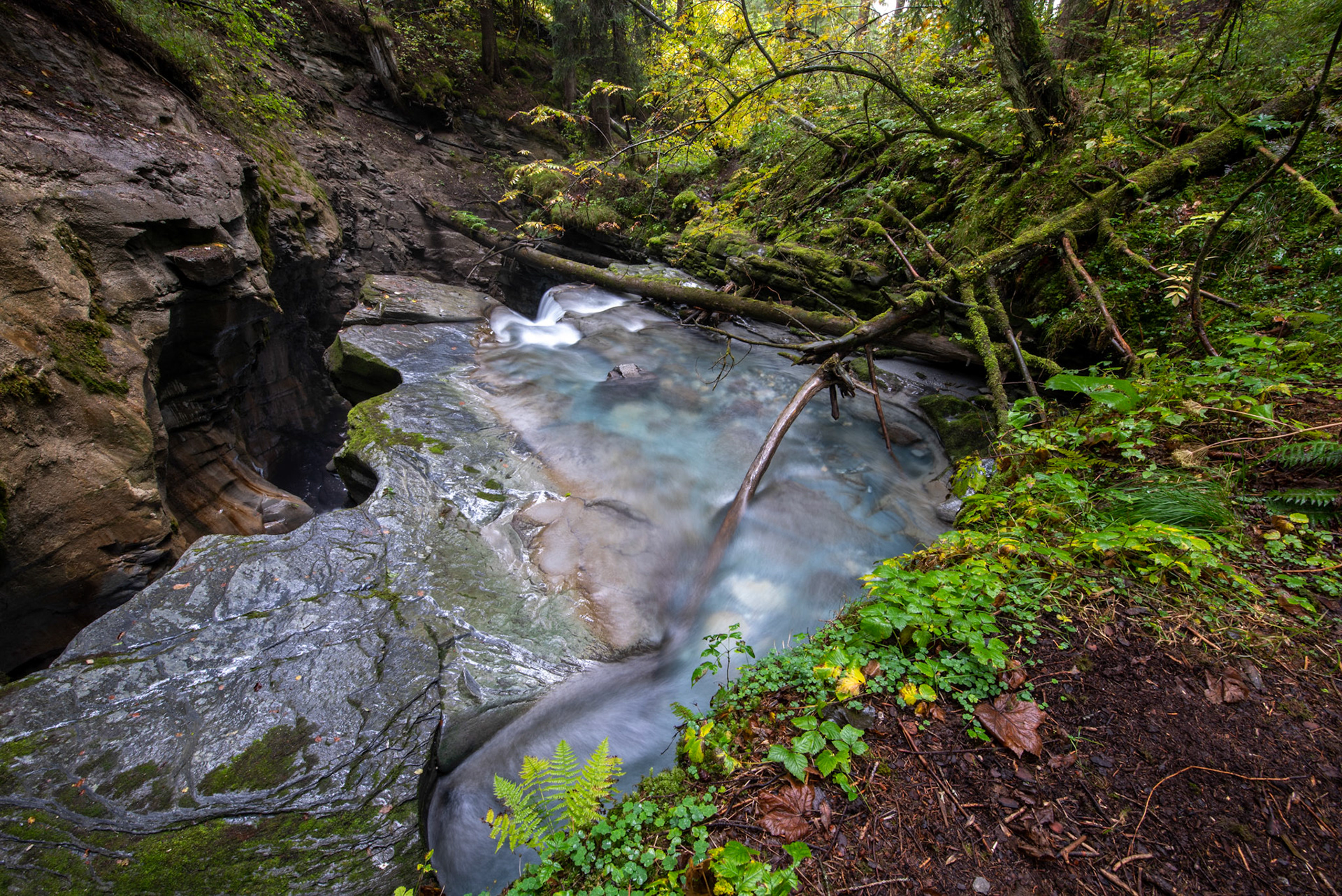 Felsbachschlucht