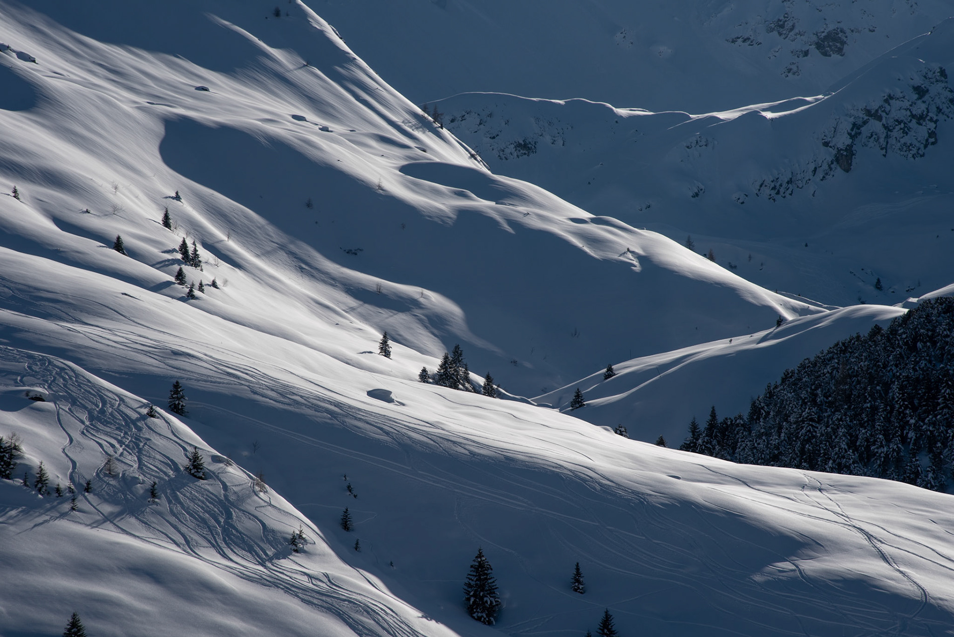 Arosa