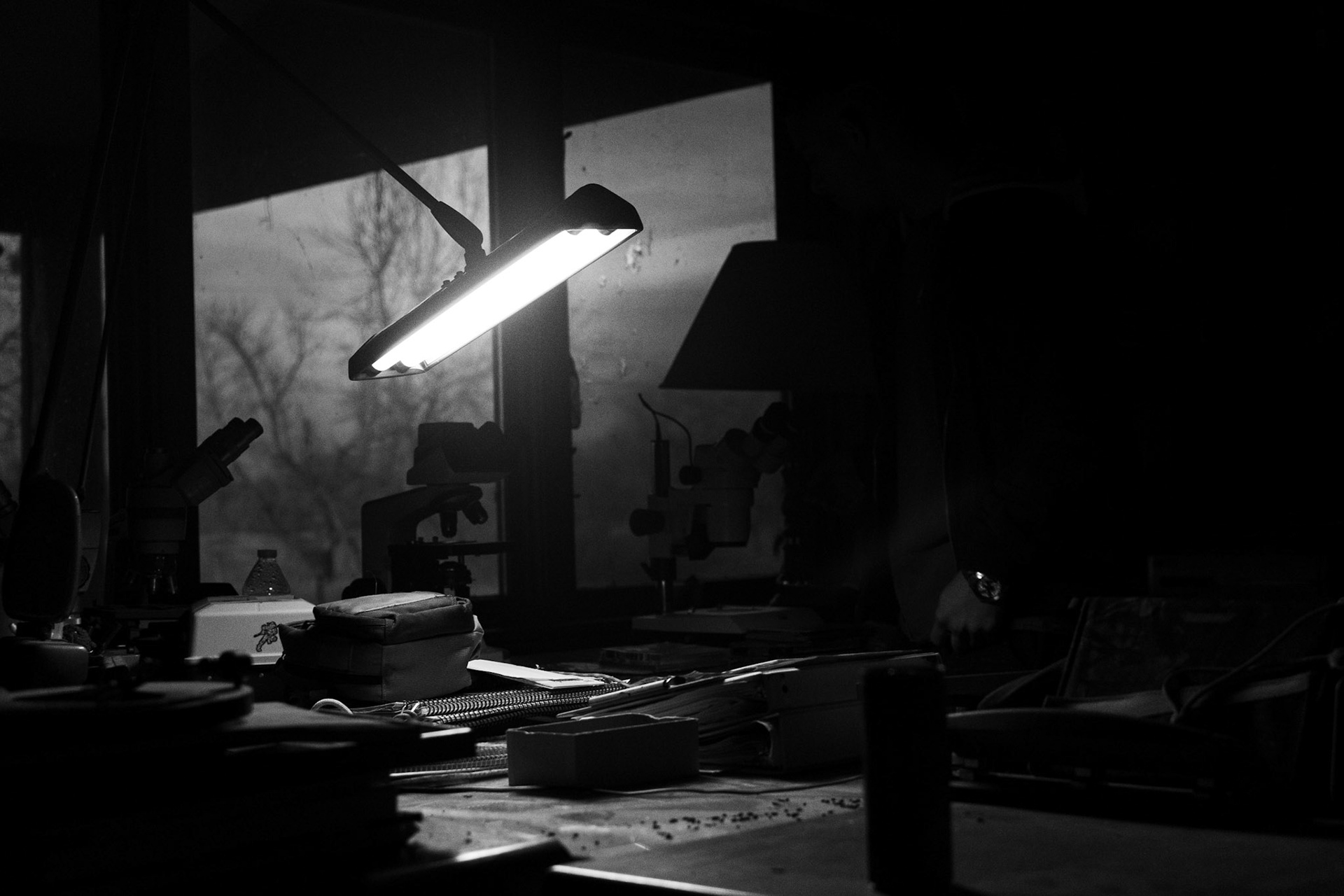 Still Image #4