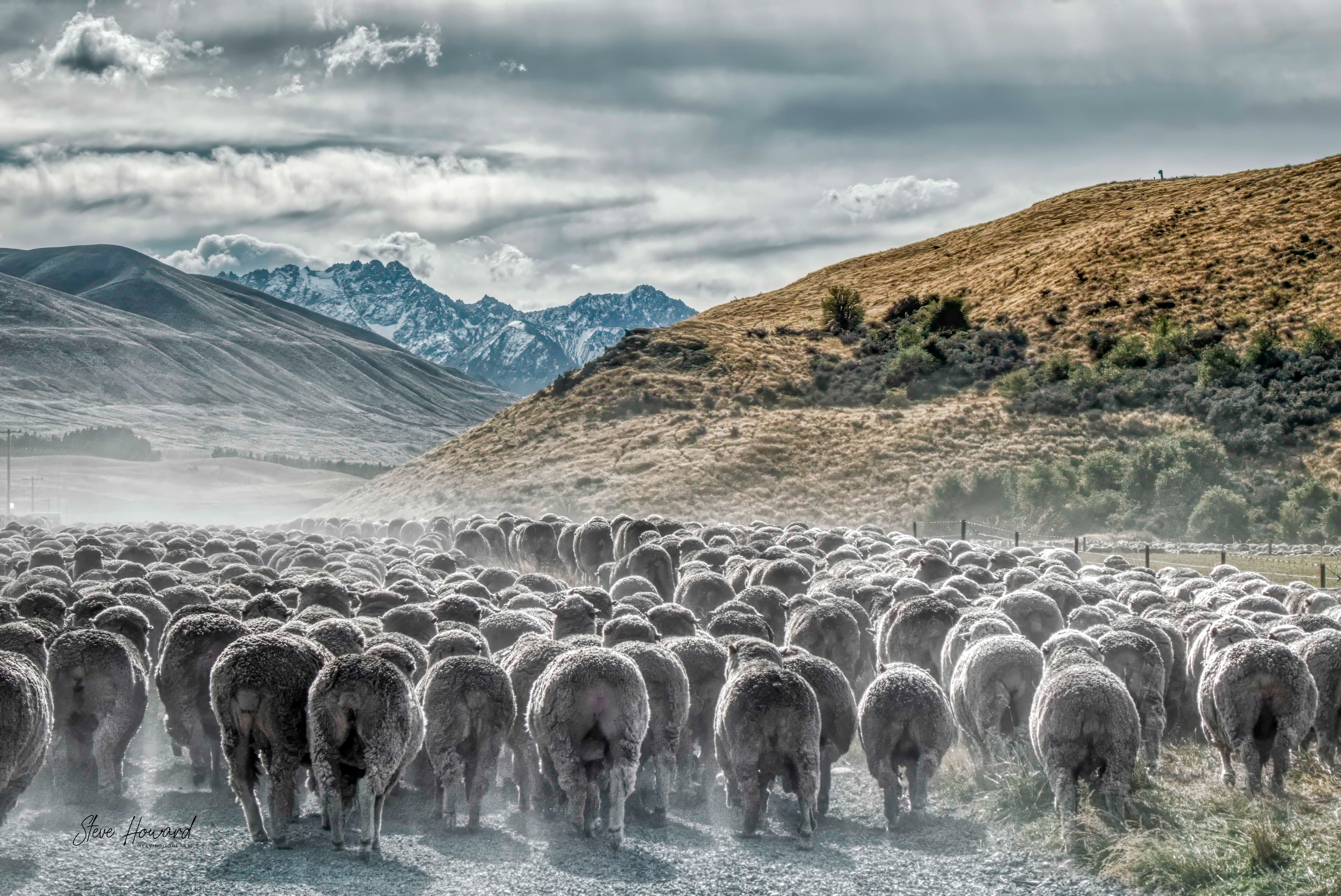 High Country Muster