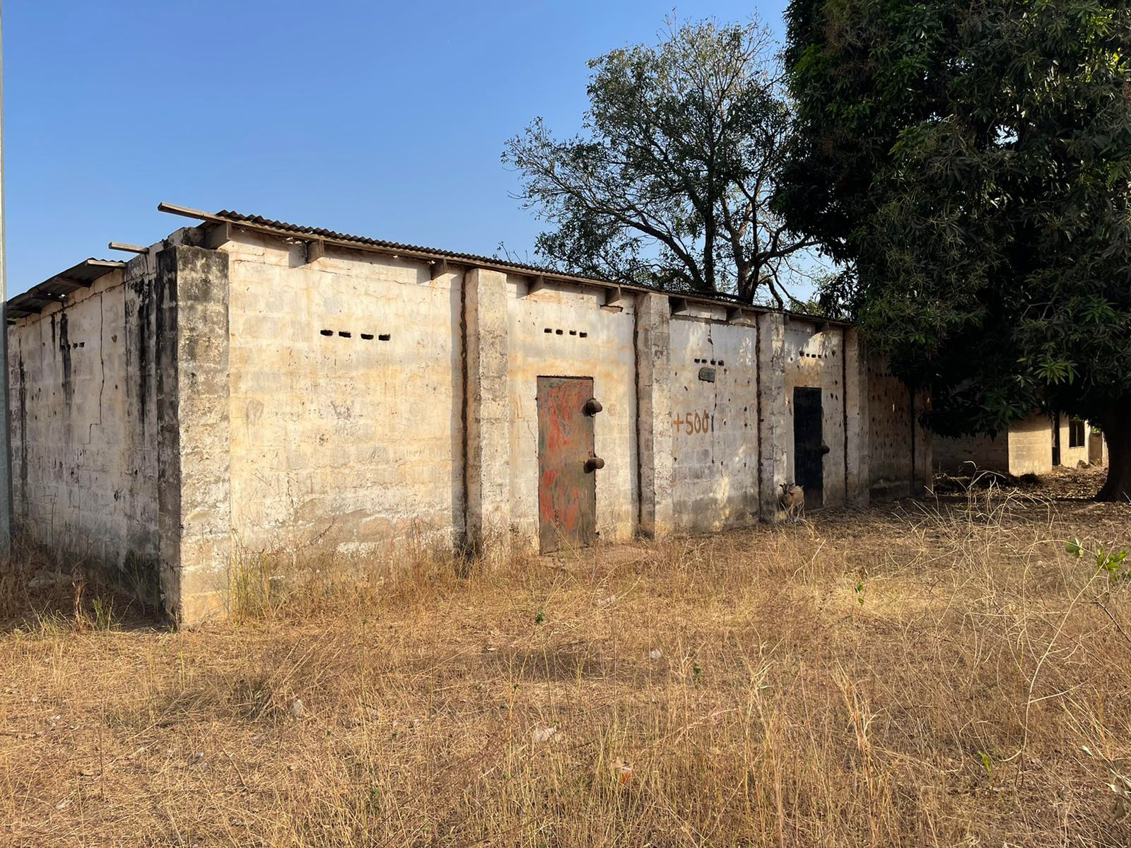 Site of Women's Marketplace prior to renovation