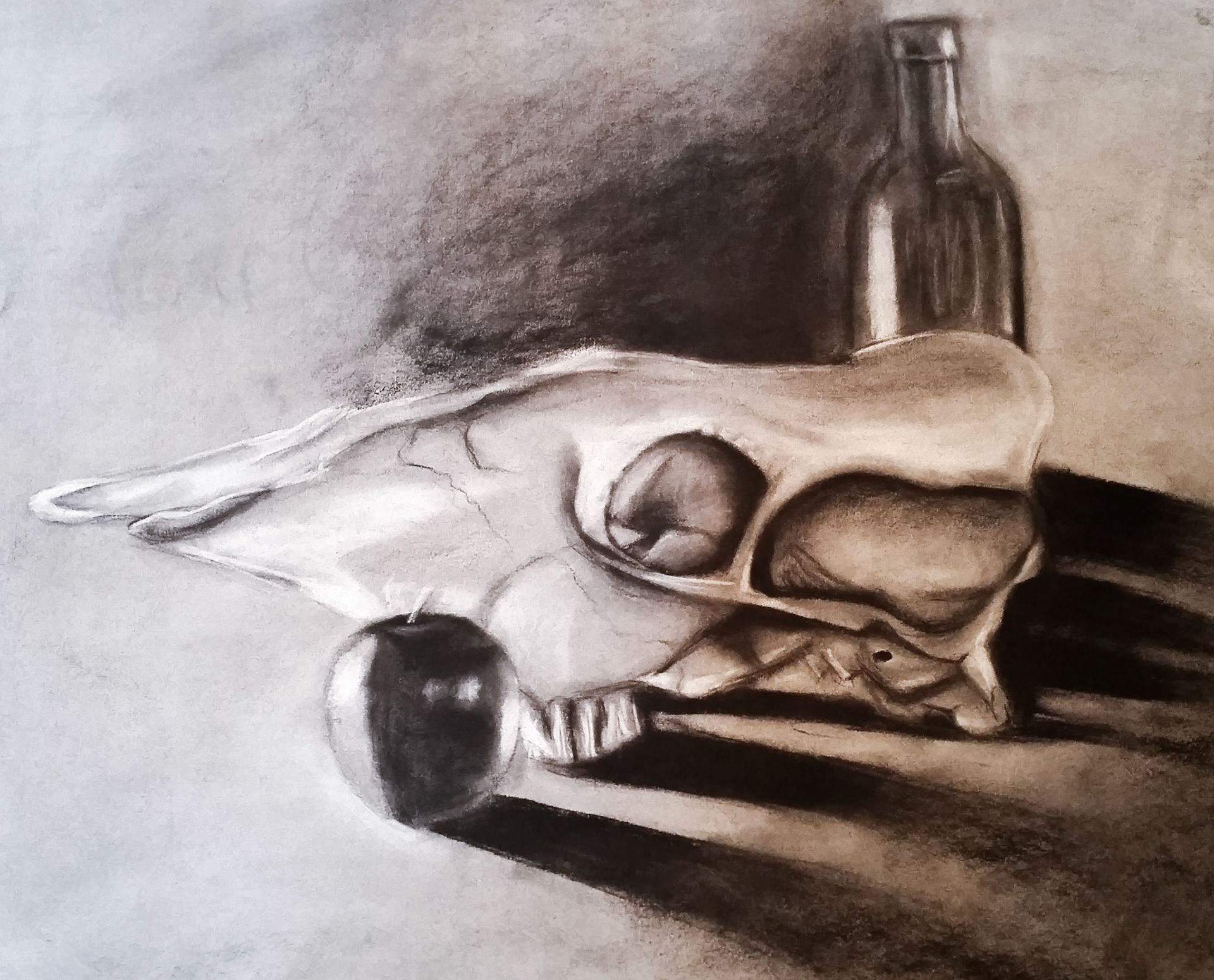 Charcoal Drawing