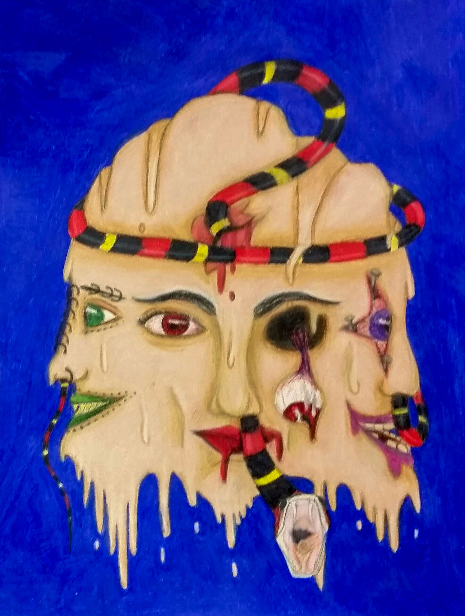 Colored Pencil Darwing