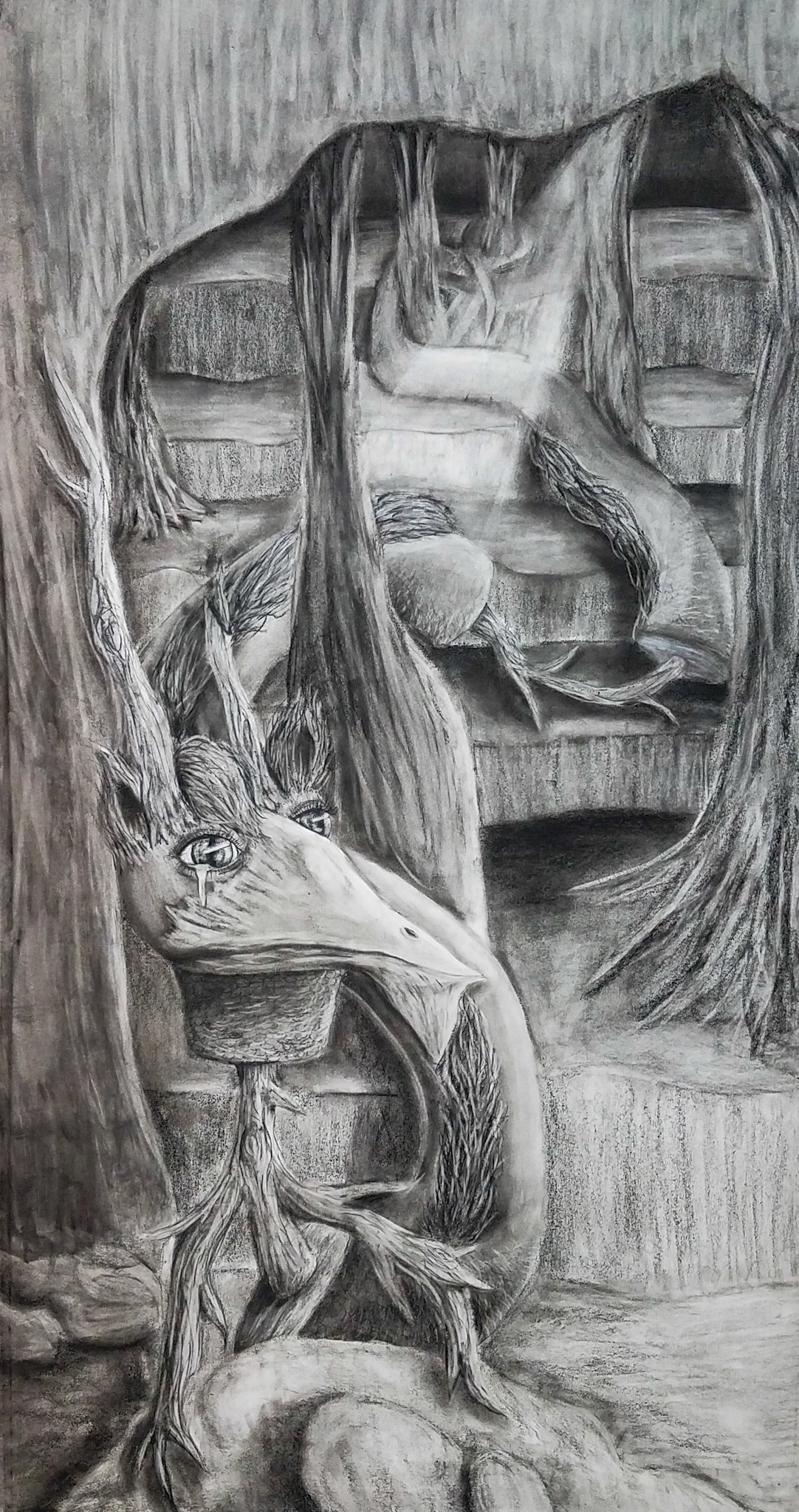 Charcoal Drawing