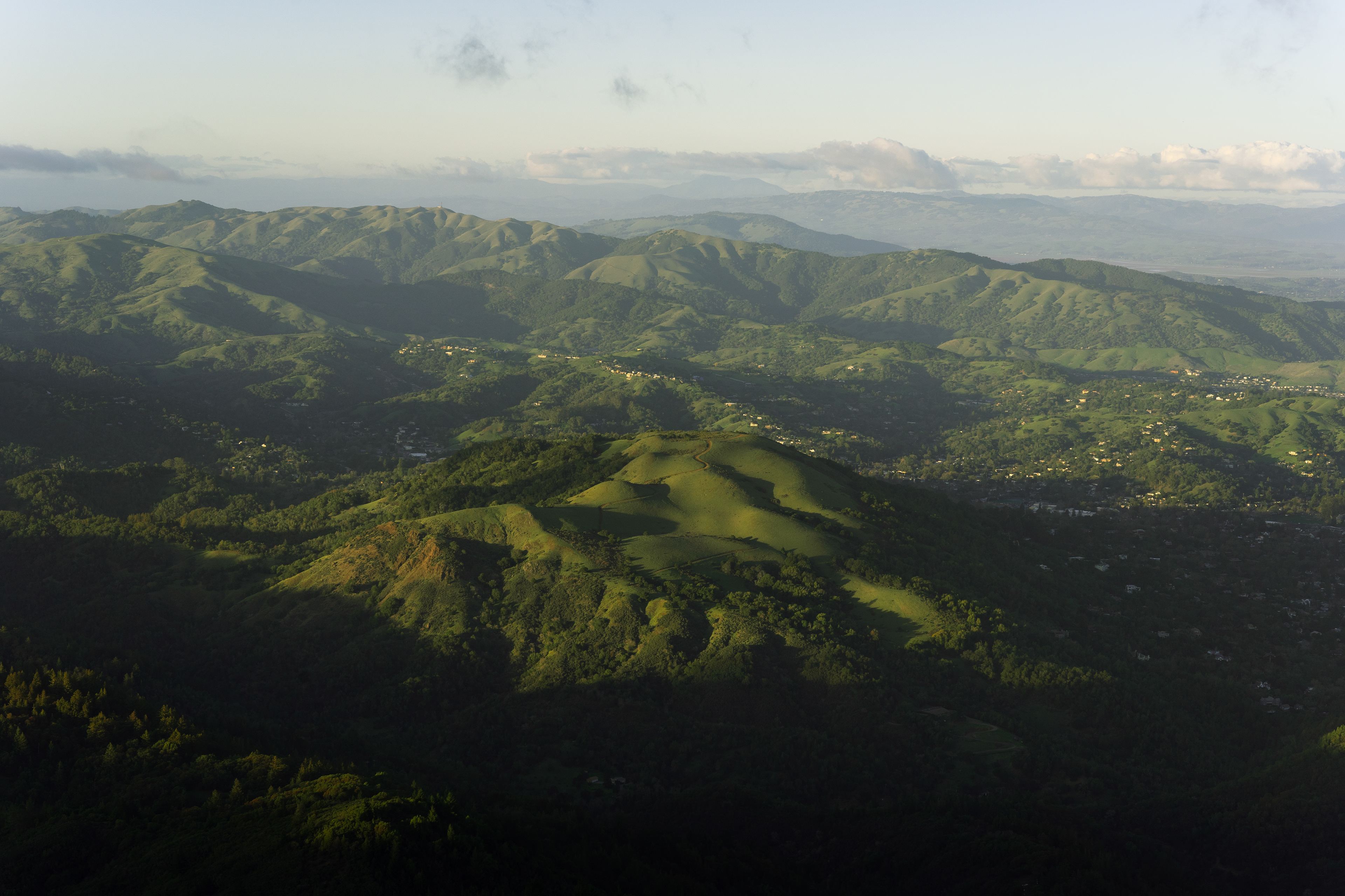 Mt. Tamalpais