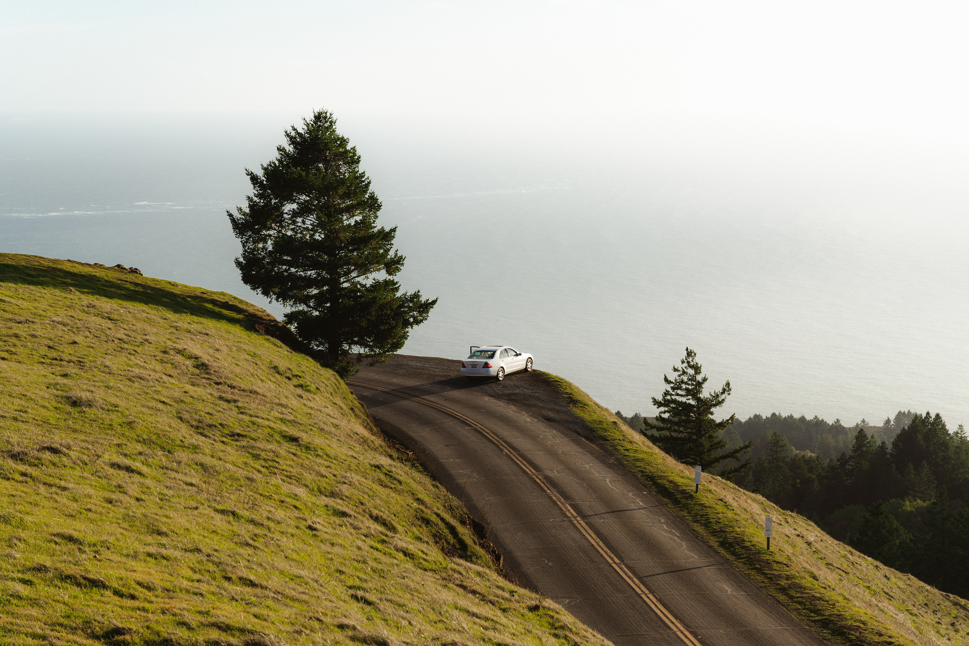 Mt. Tamalpais