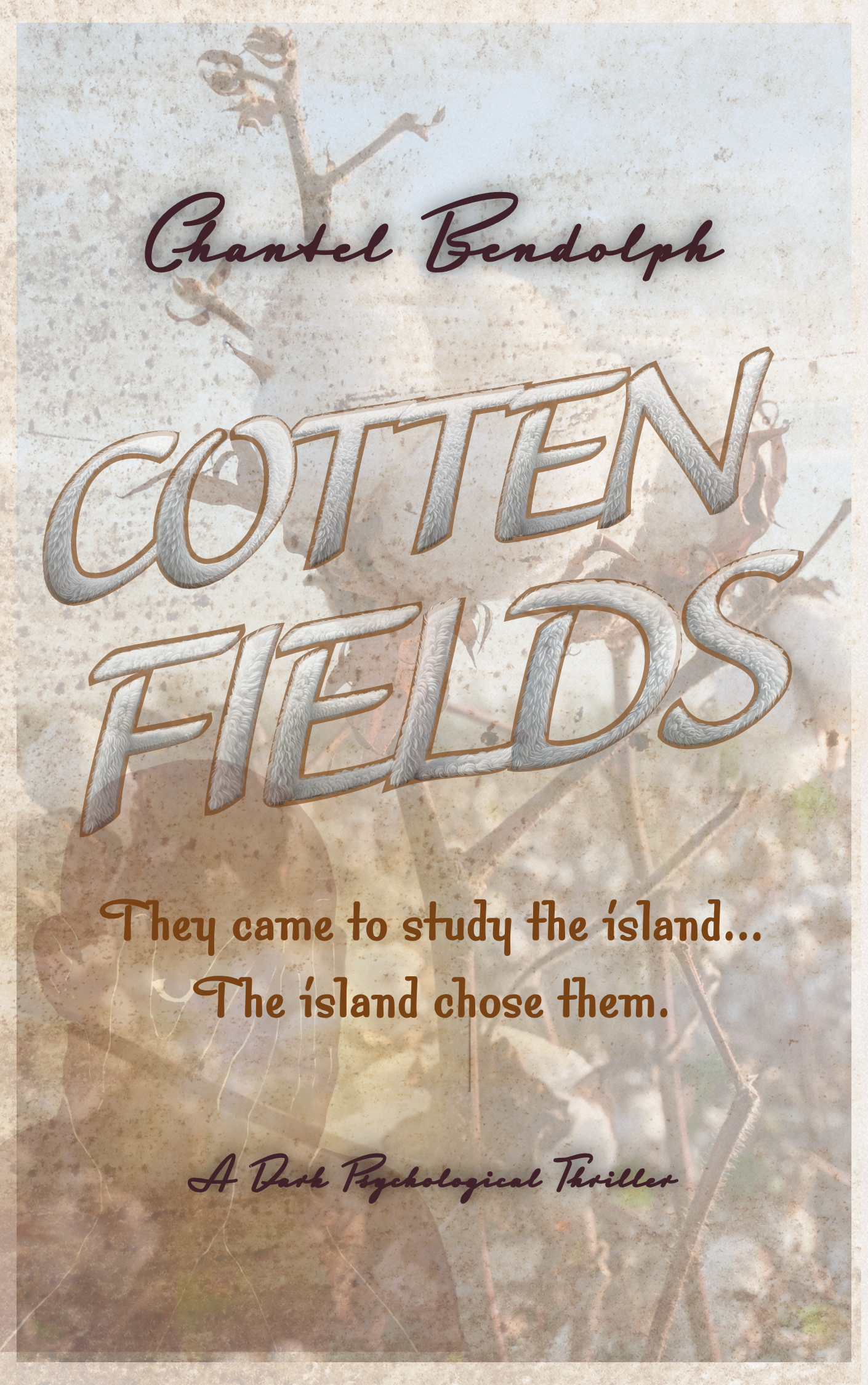 Cotten Fields emotional historical fiction novel cover reflecting generational struggle, resilience, and cultural legacy
