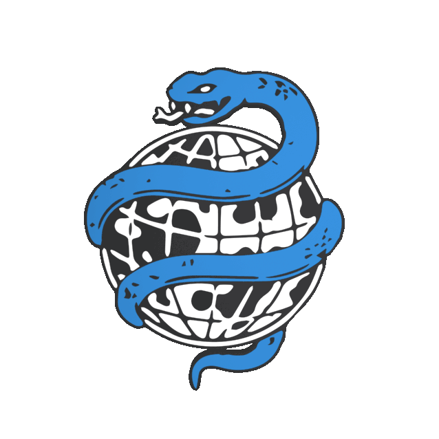 VIPER VISUALS LOCATED IN TORONTO CANADA 