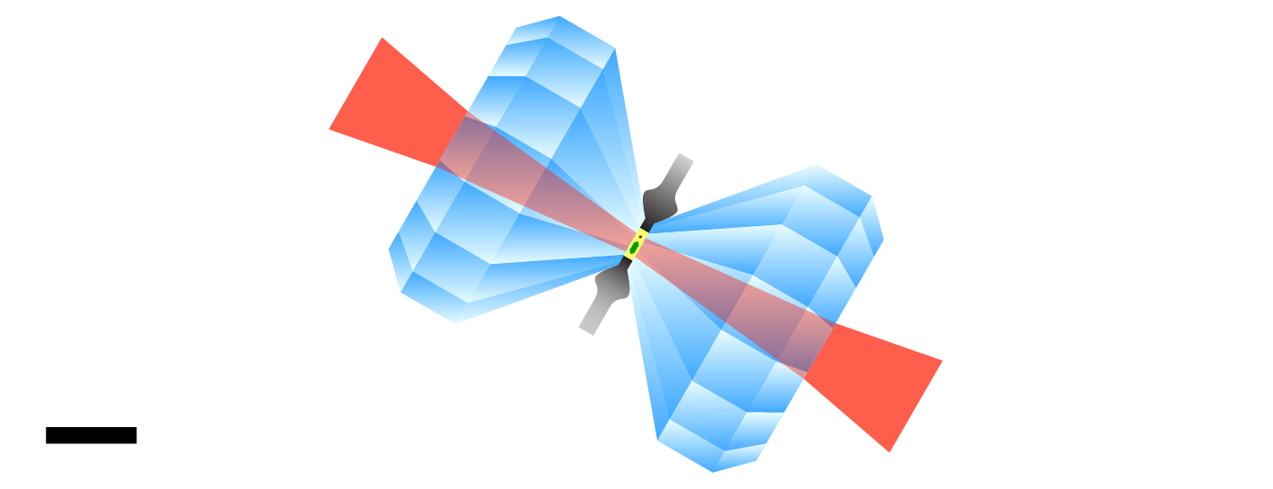 Diamond anvil cell