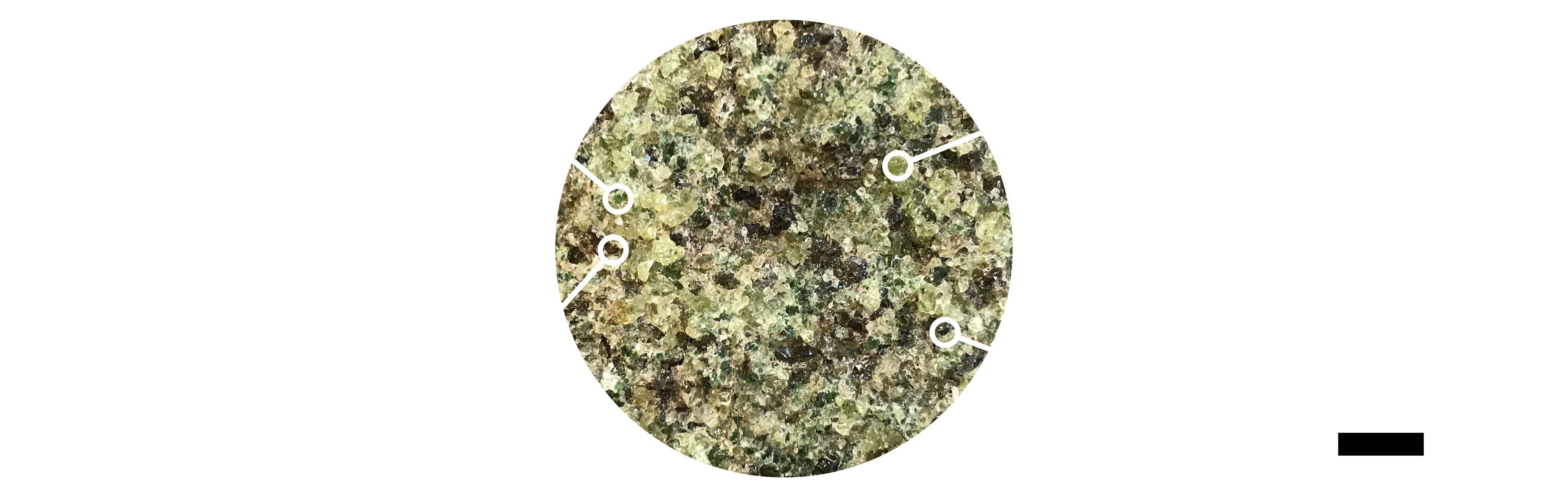 Peridotite: olivine, pyroxene, spinel
