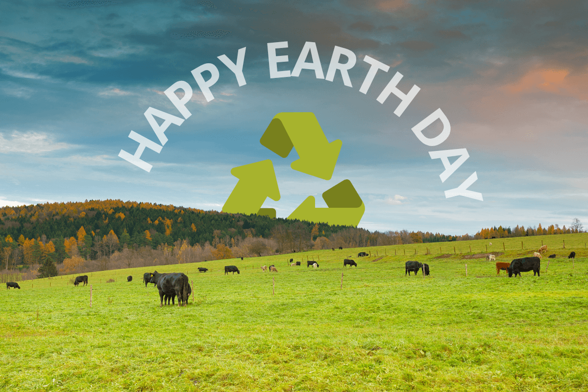 Earth day