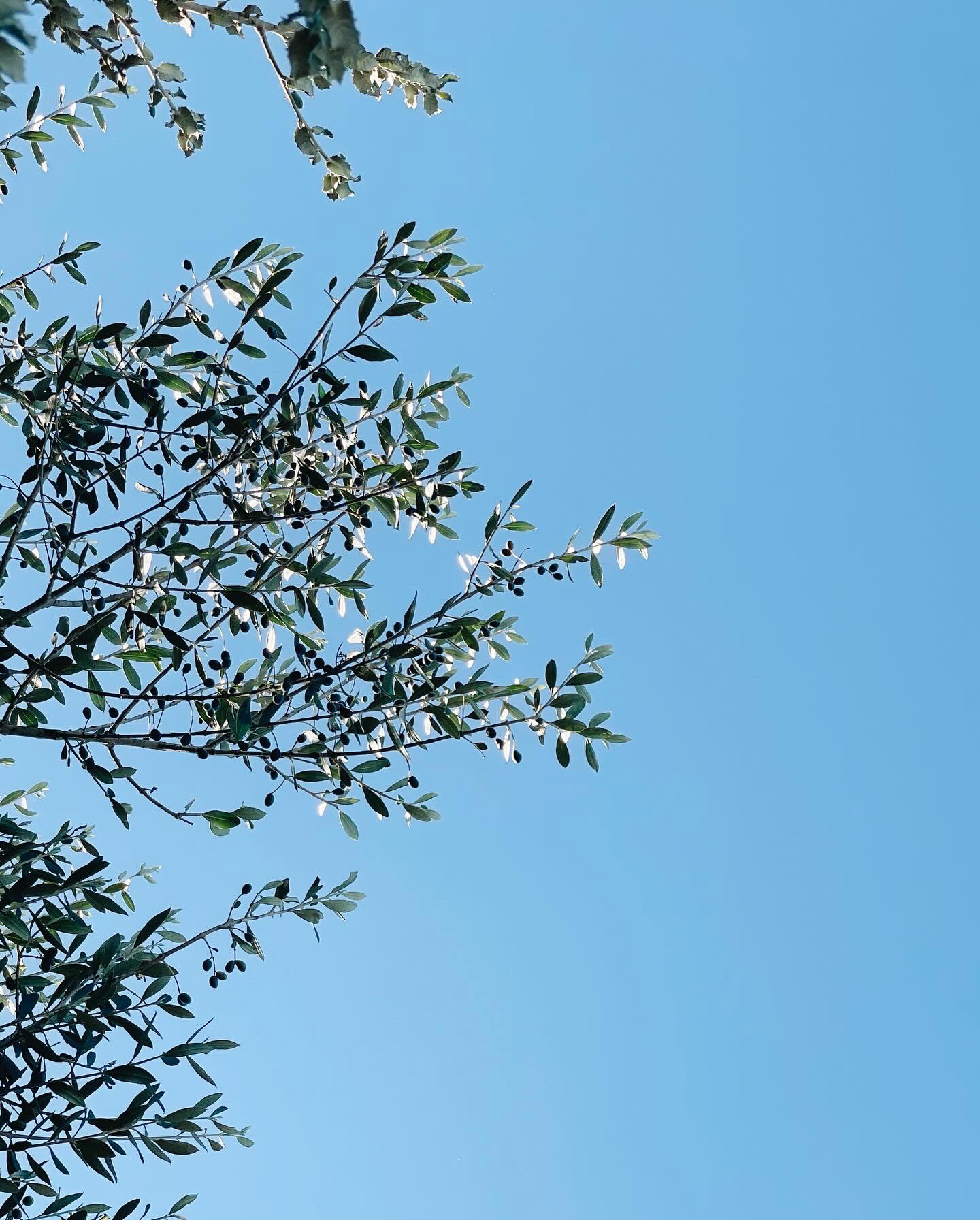 Morocco, November 2023