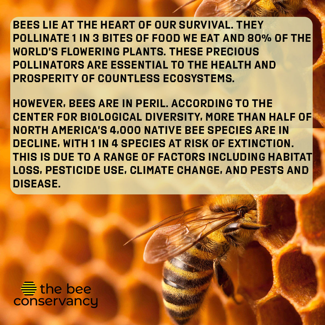 Save the Bees 2